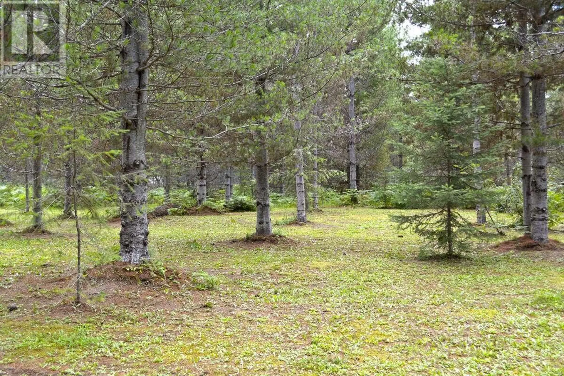 Property at LOT 12 MCCORMACK ROAD, Burton, BC