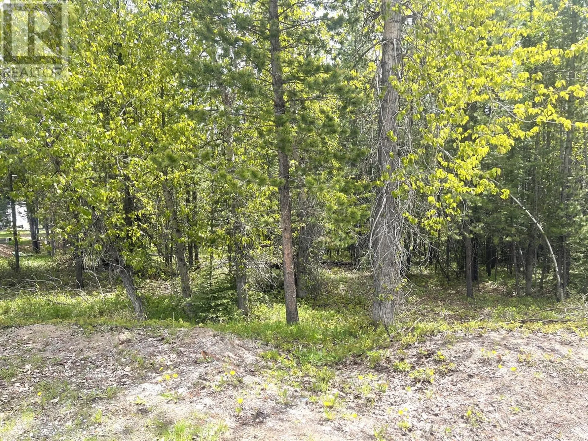 Property at 44 DARBY CRESCENT, Elkford, BC