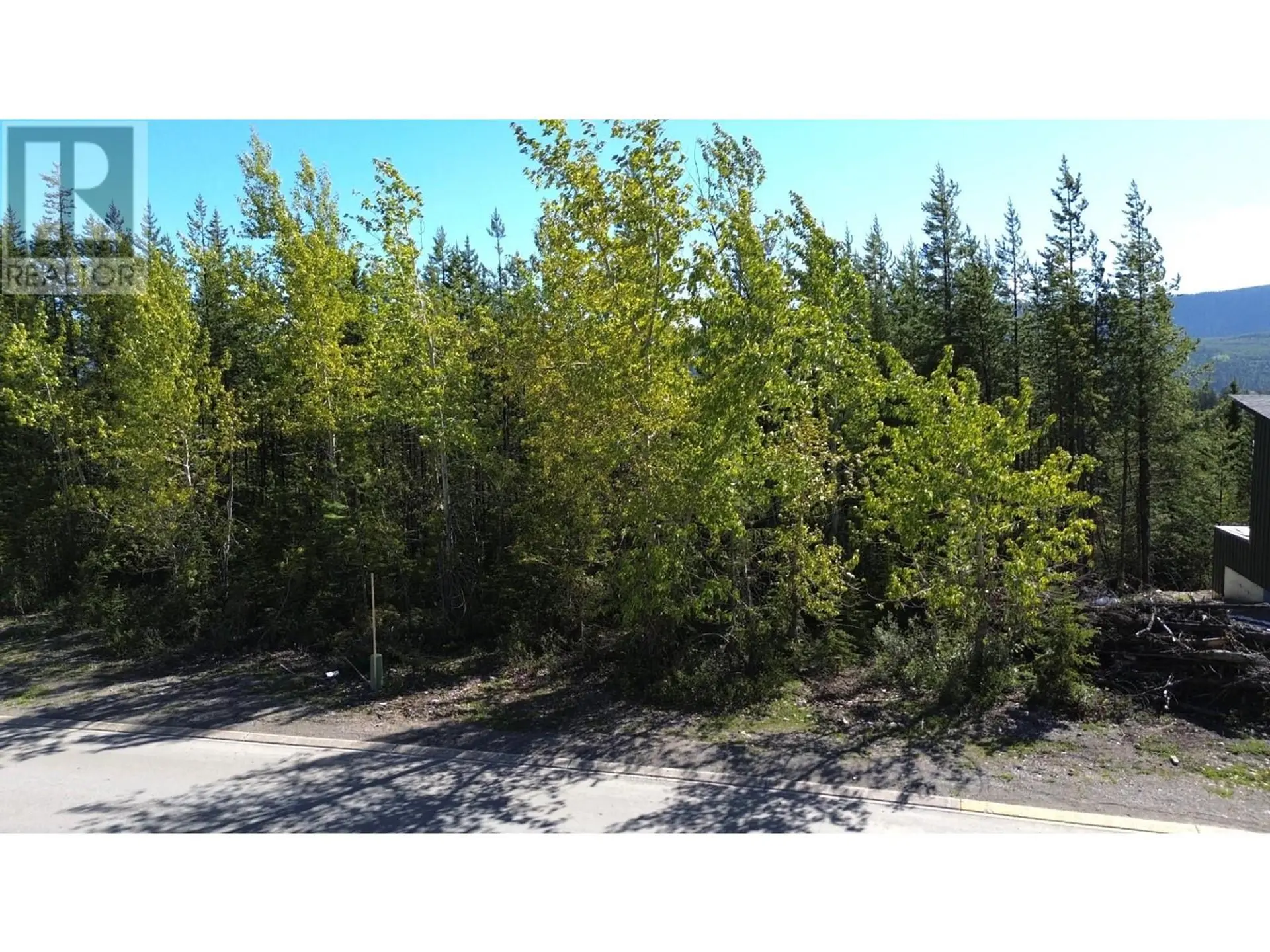 Property at 4 DALLAS PLACE, Elkford, BC