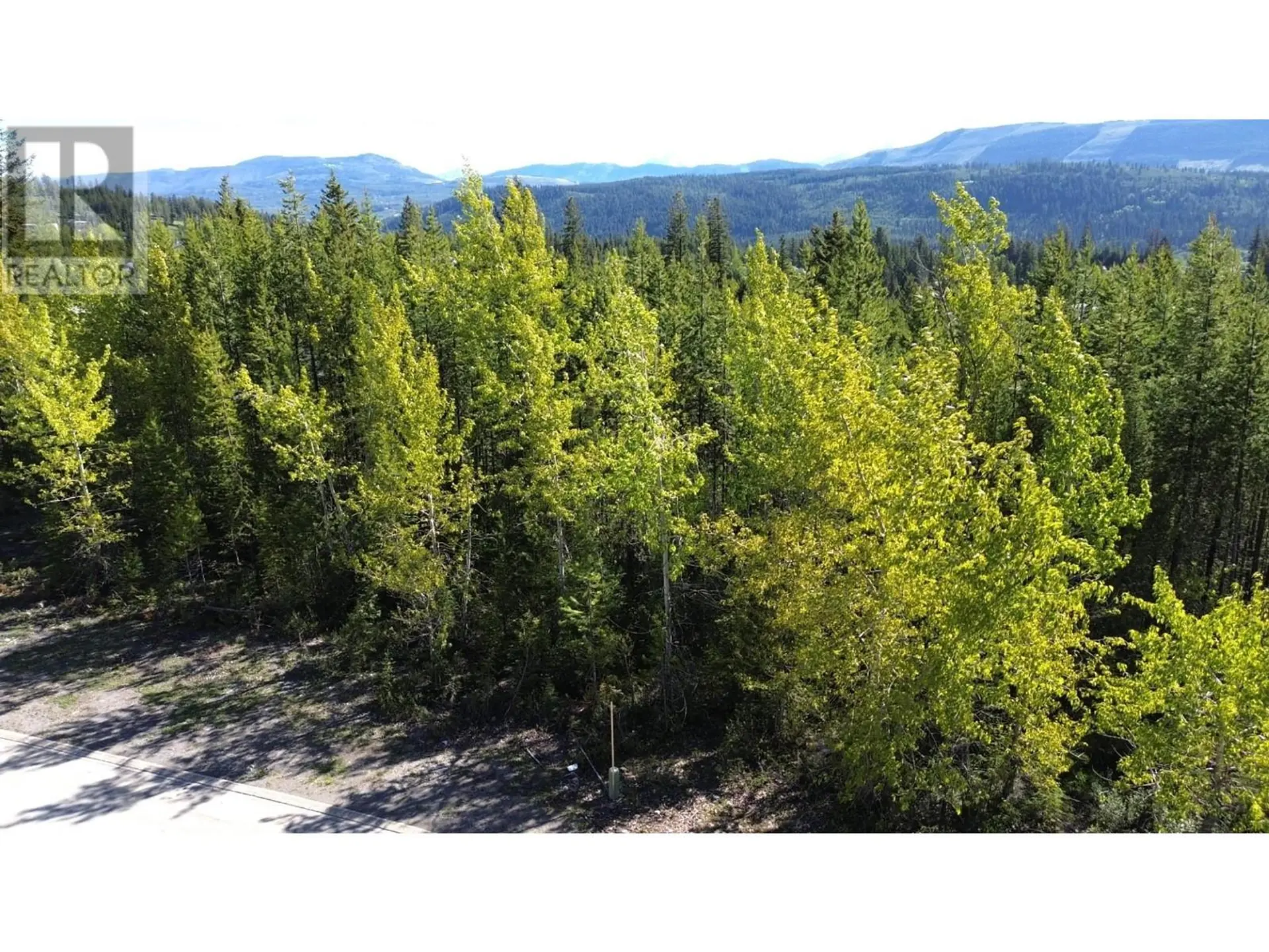 Property at 4 DALLAS PLACE, Elkford, BC