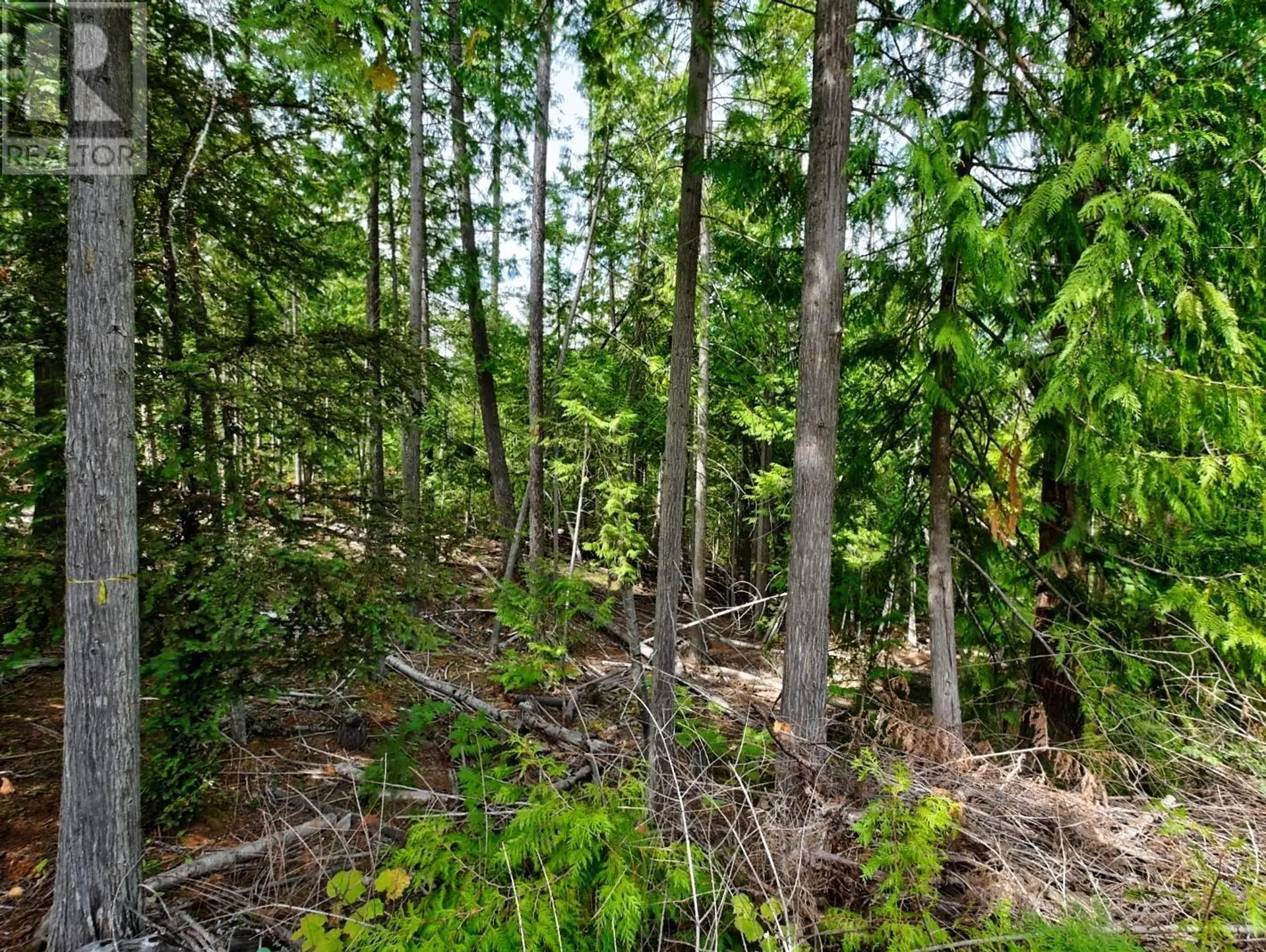 Property at 1 LASCA CREEK ROAD, Harrop, BC