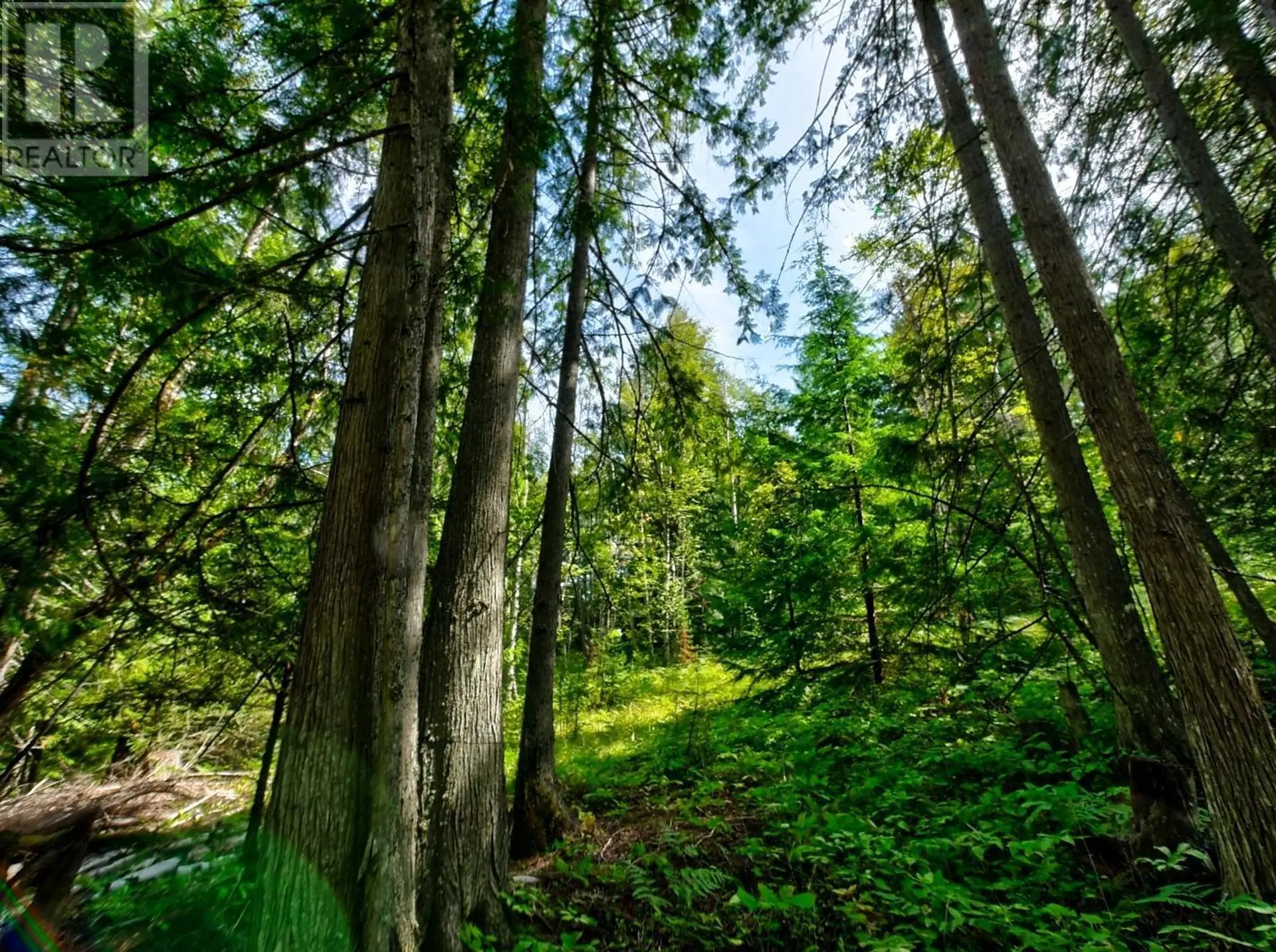 Property at 1 LASCA CREEK ROAD, Harrop, BC