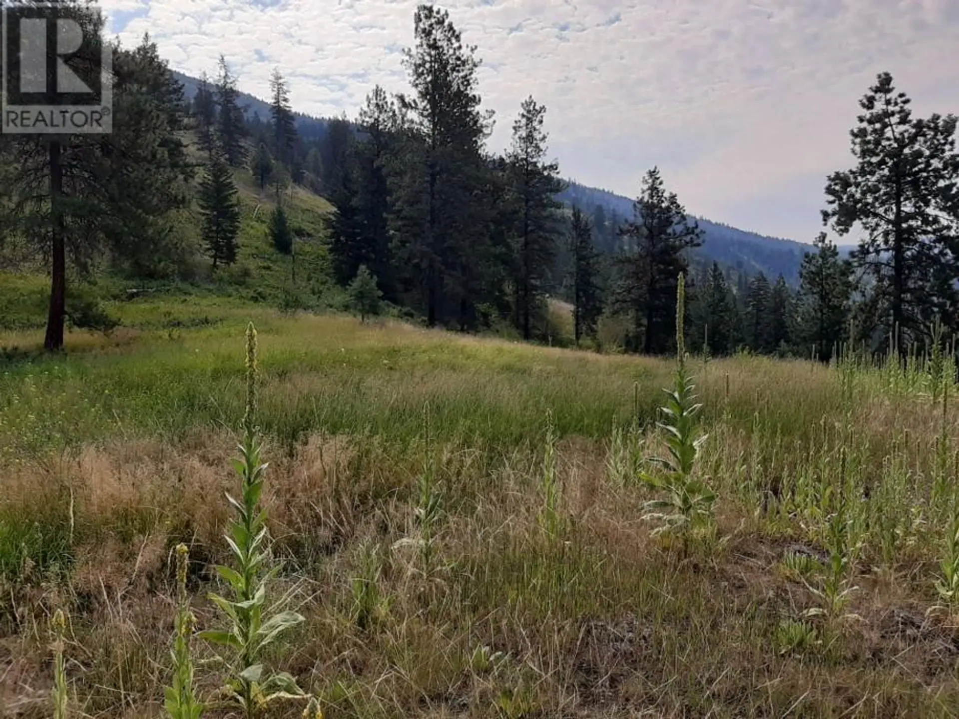 Property at 6189 TRANS CANADA HIGHWAY, Chase, BC