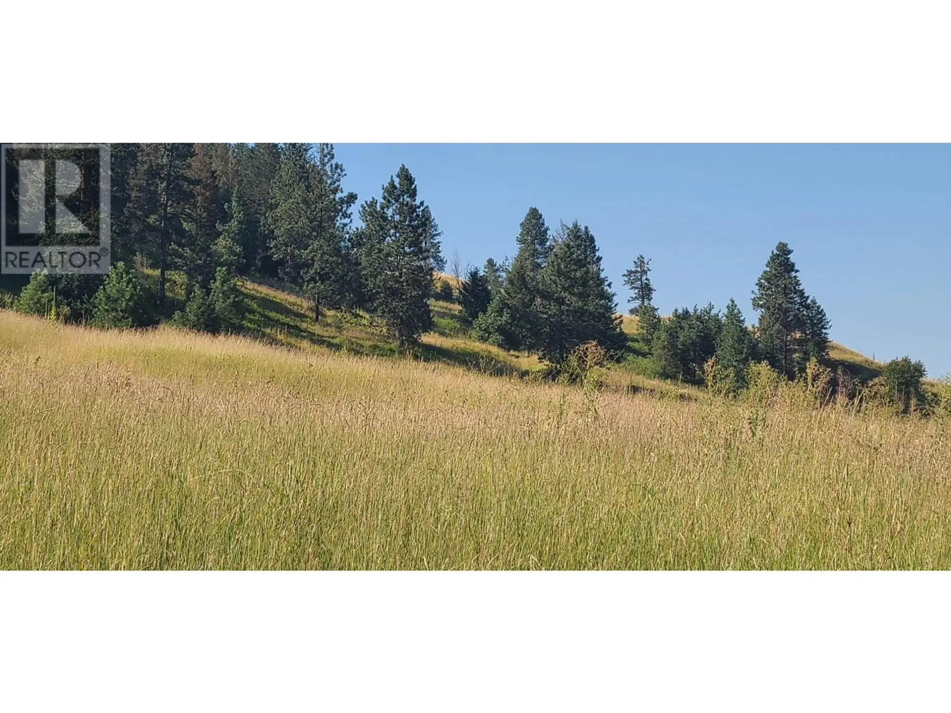 Property at 6189 TRANS CANADA HIGHWAY, Chase, BC