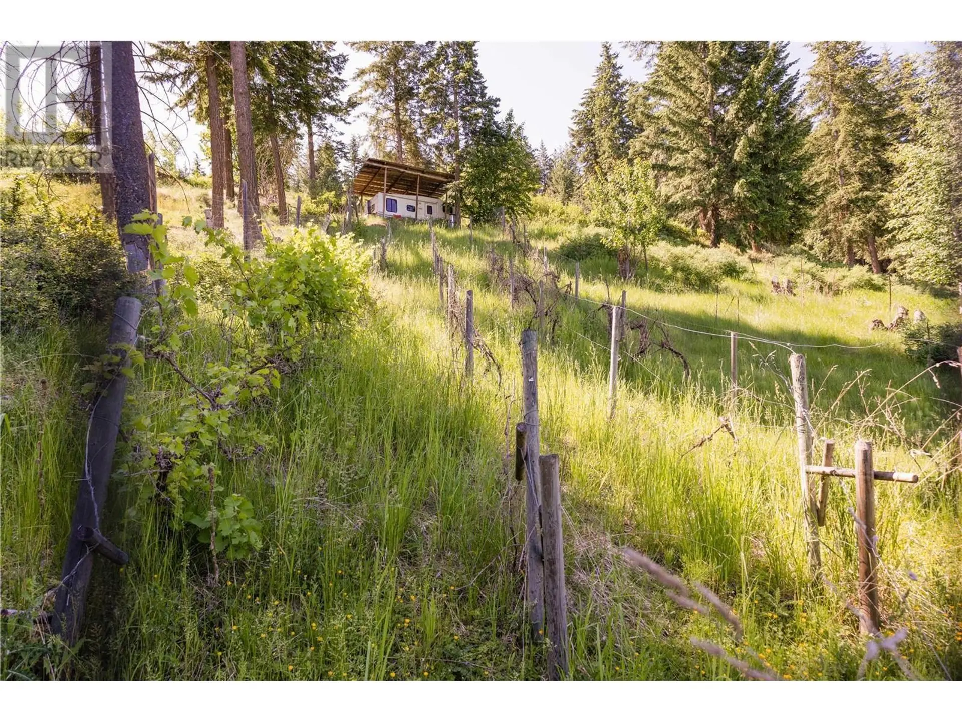 Property at 5165 SALMON RIVER ROAD, Armstrong, BC