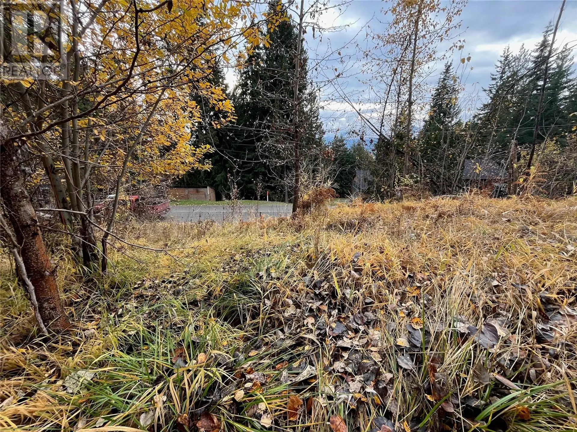 Property at LOT 150 ANGLEMONT DRIVE LOT# 150, Anglemont, BC