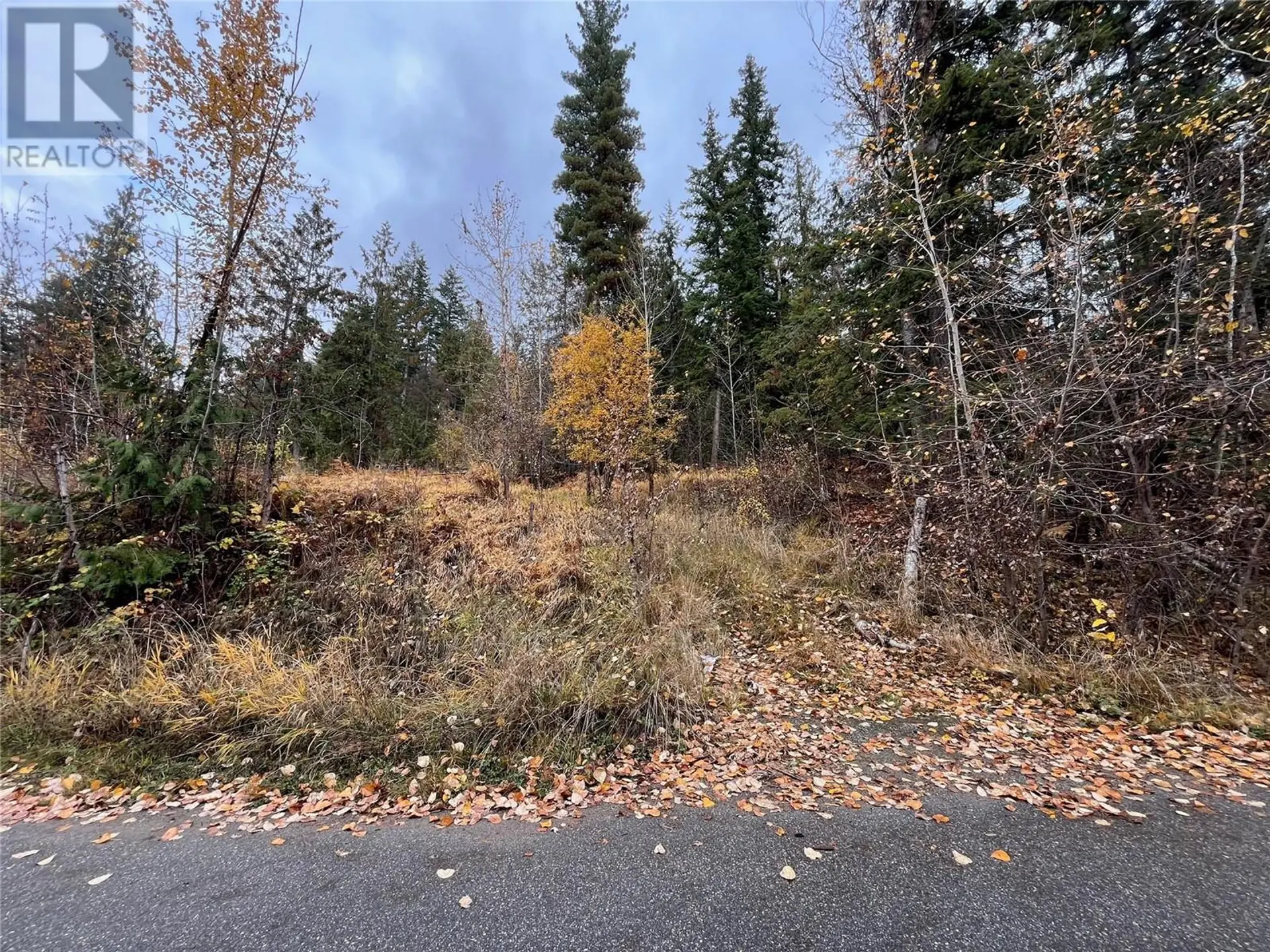 Property at LOT 150 ANGLEMONT DRIVE LOT# 150, Anglemont, BC