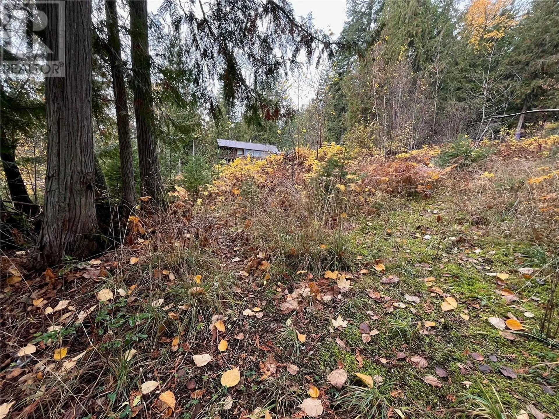 Property at LOT 150 ANGLEMONT DRIVE LOT# 150, Anglemont, BC
