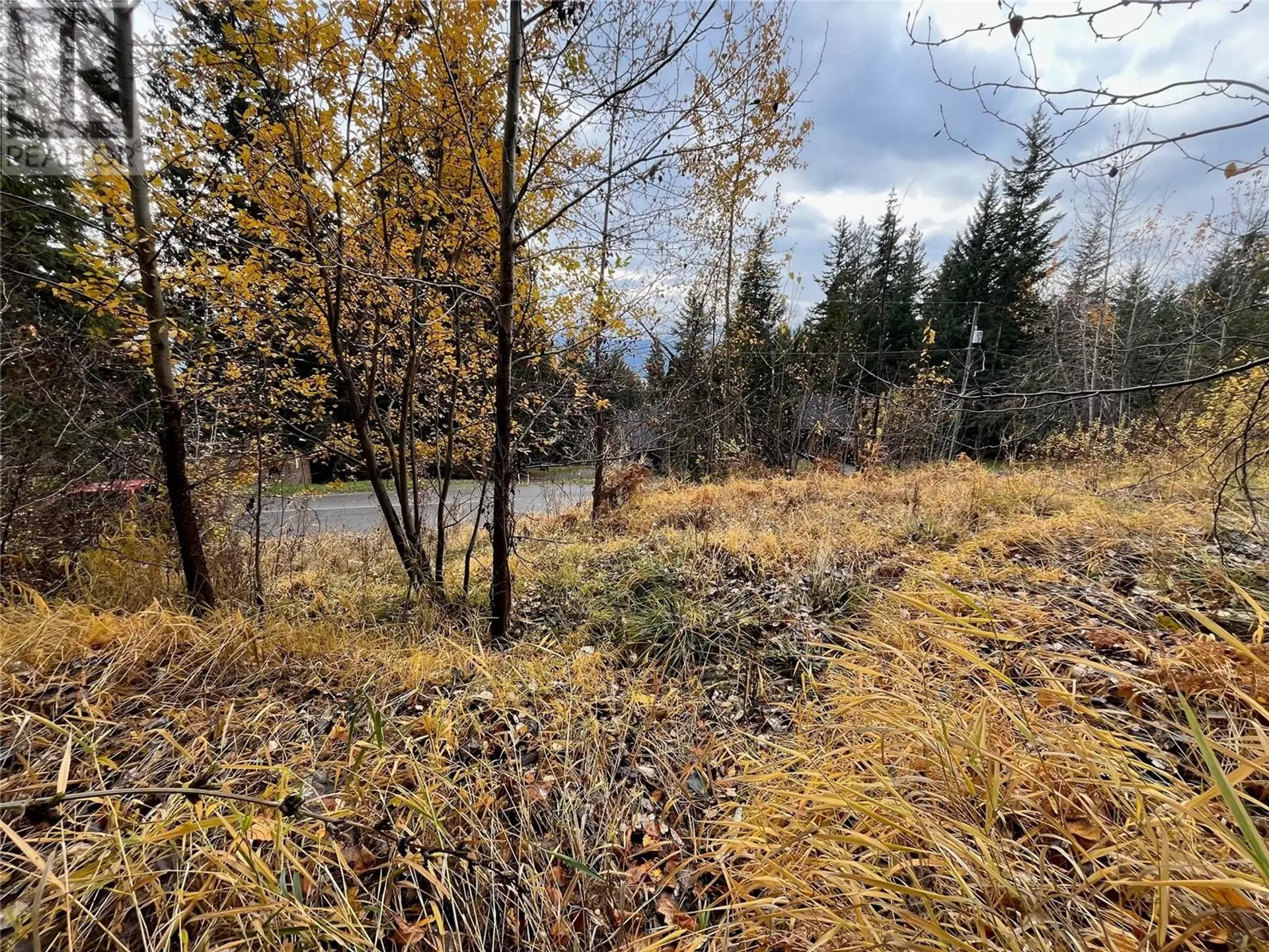 Property at LOT 150 ANGLEMONT DRIVE LOT# 150, Anglemont, BC
