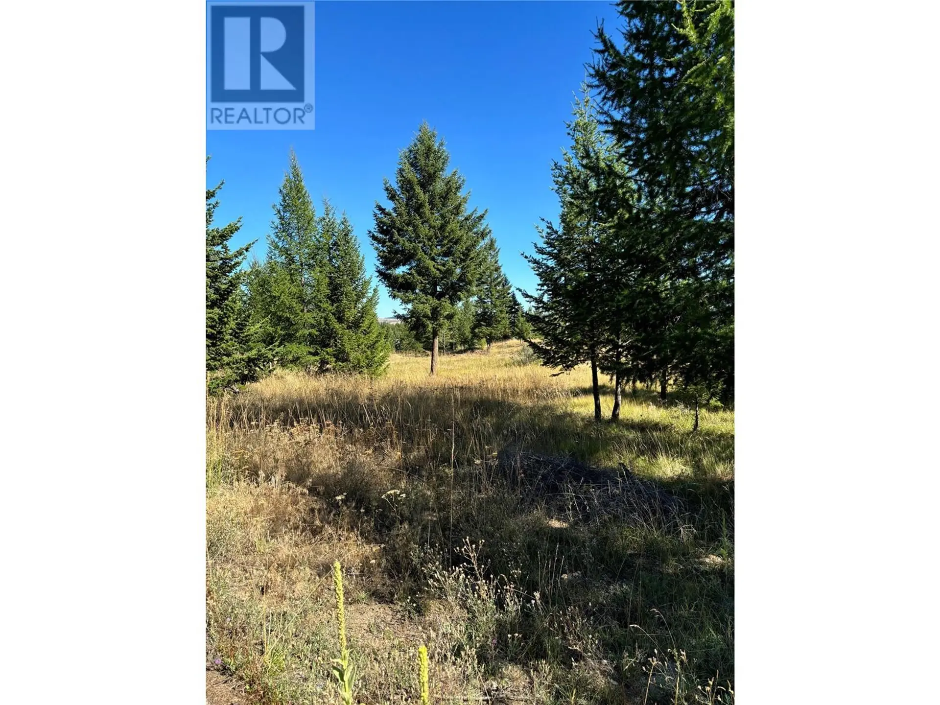 Property at 891 RAVEN HILL ROAD, Osoyoos, BC