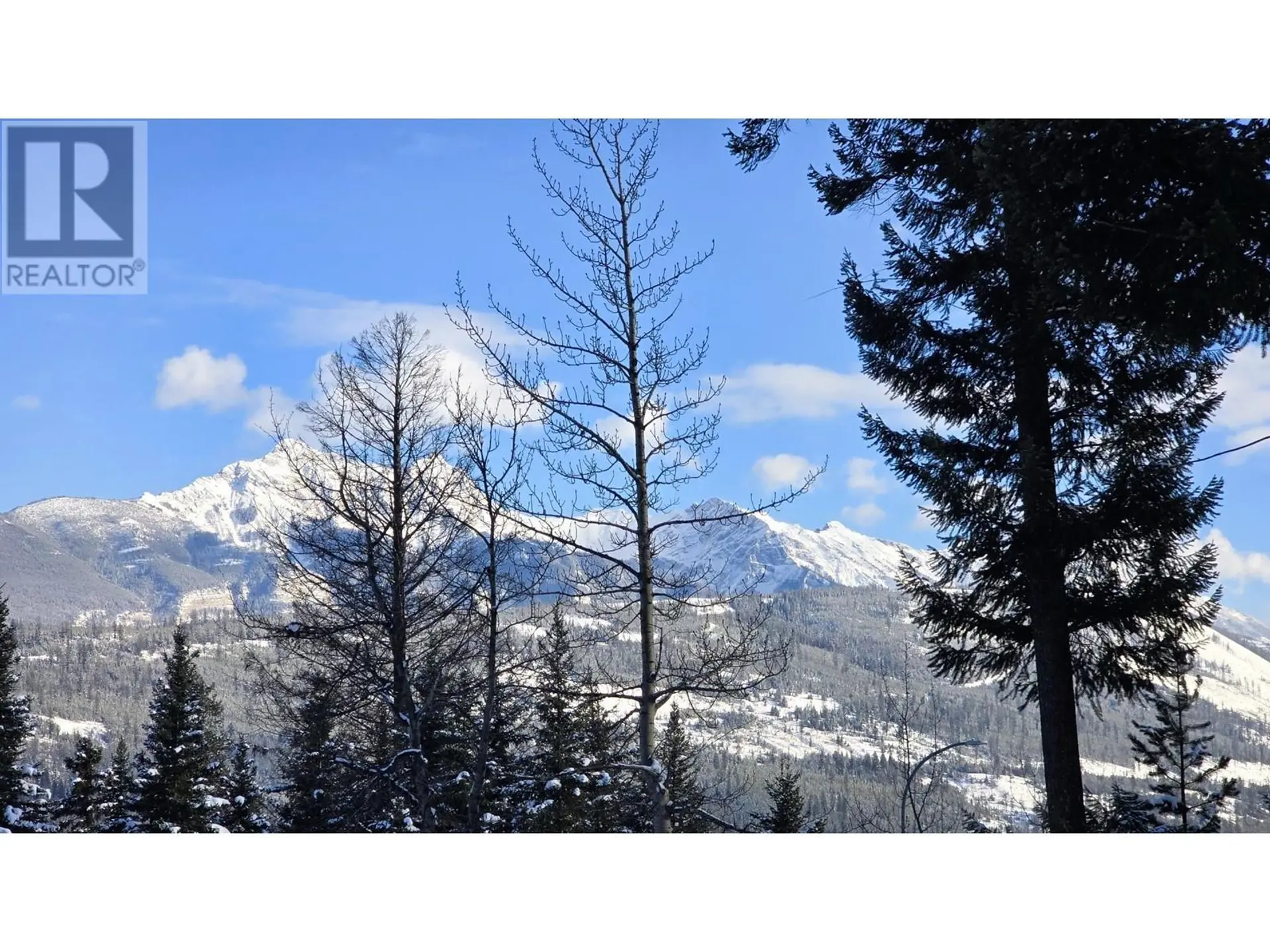 Property at 754 BALMER CRESCENT, Elkford, BC