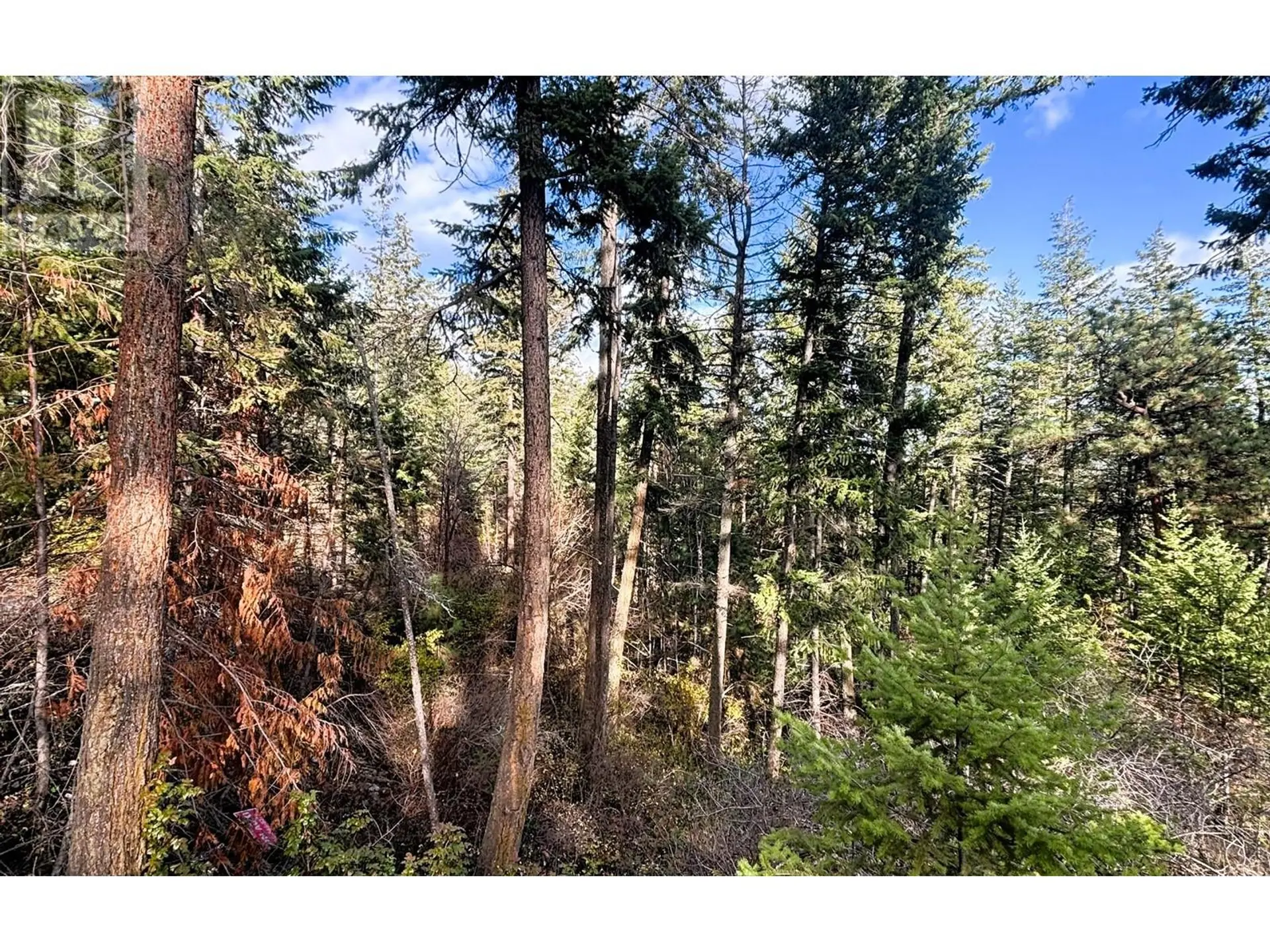 Property at LOT 146 KEITHLEY ROAD LOT# 146, Vernon, BC