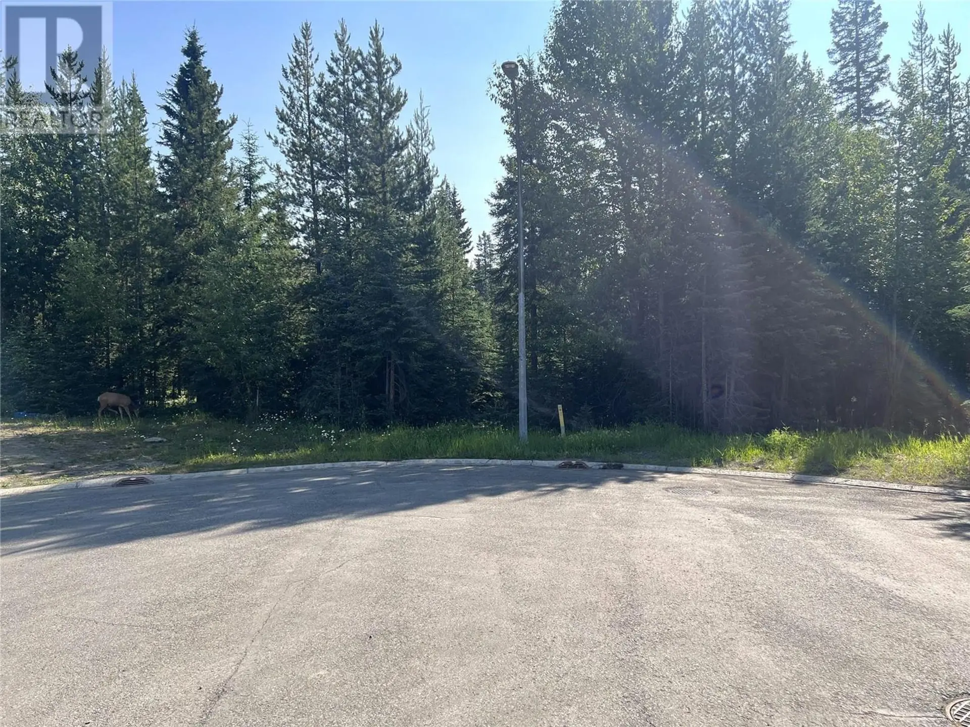 Property at 8 DOGWOOD PLACE, Elkford, BC