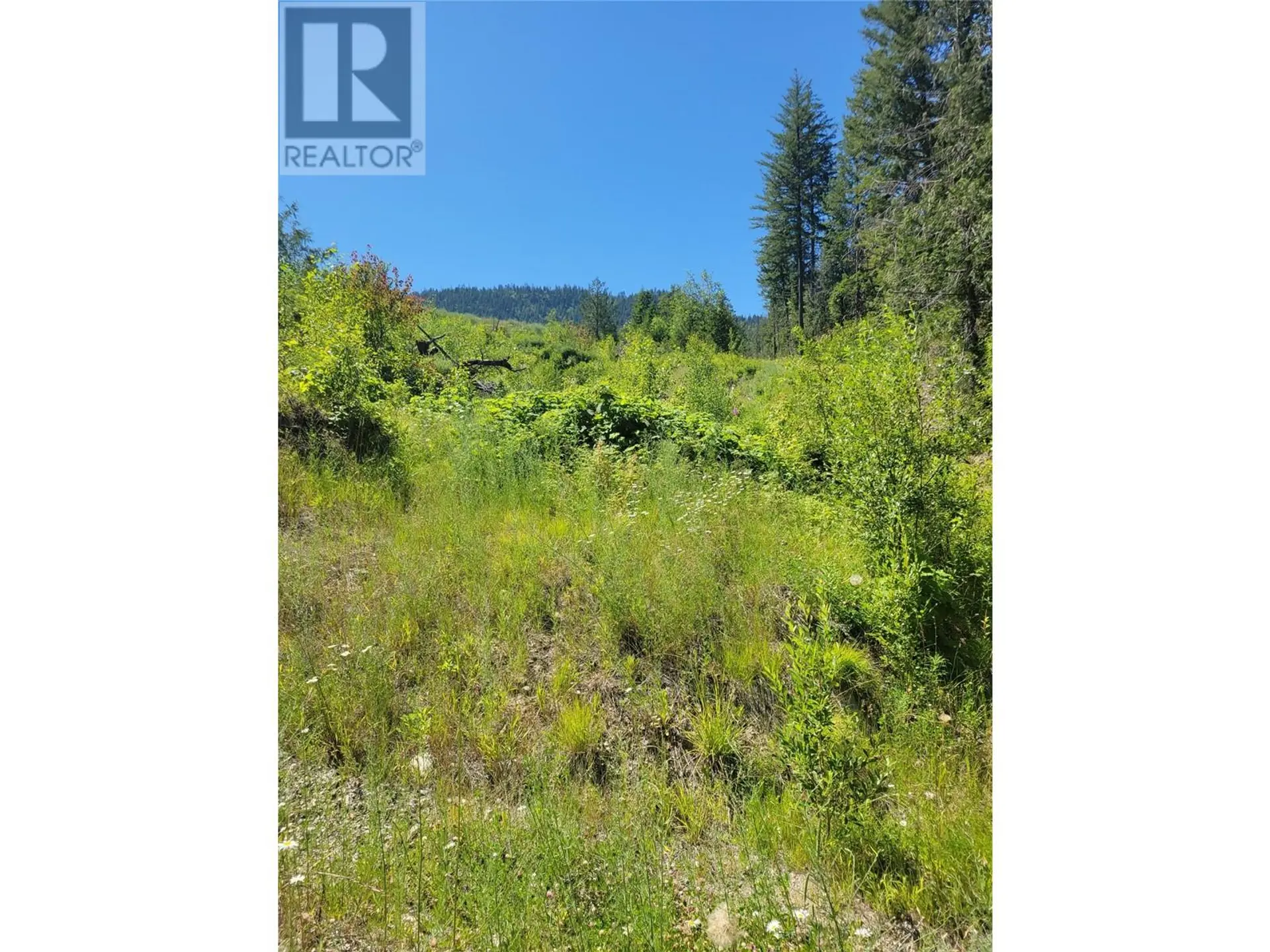 Property at 941 CHASE FALKLAND ROAD, Chase, BC