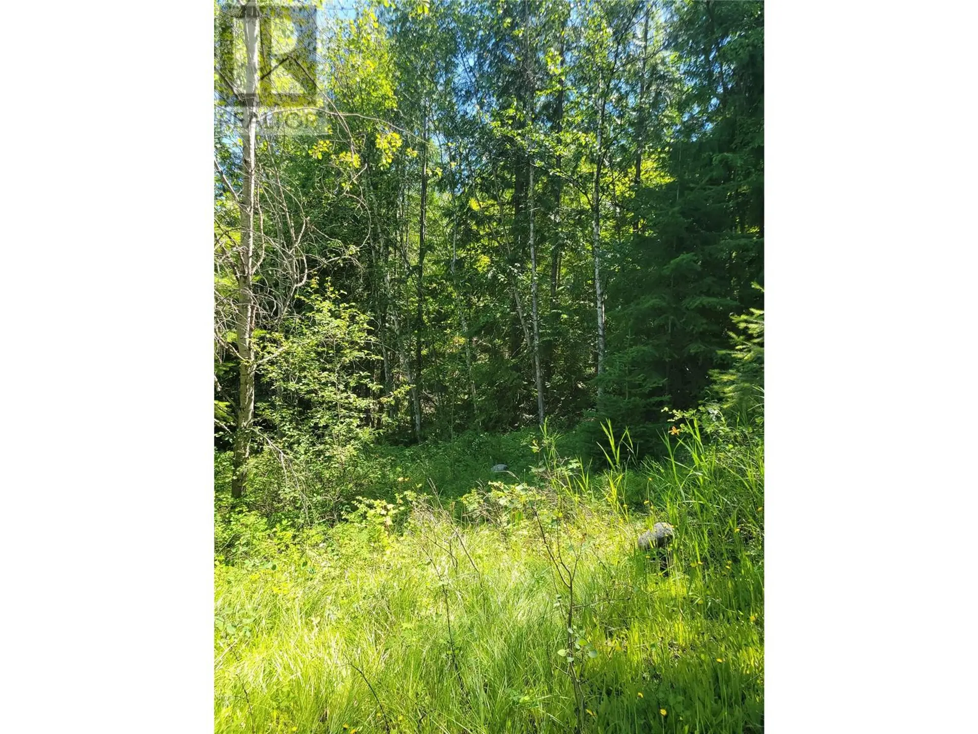 Property at 941 CHASE FALKLAND ROAD, Chase, BC