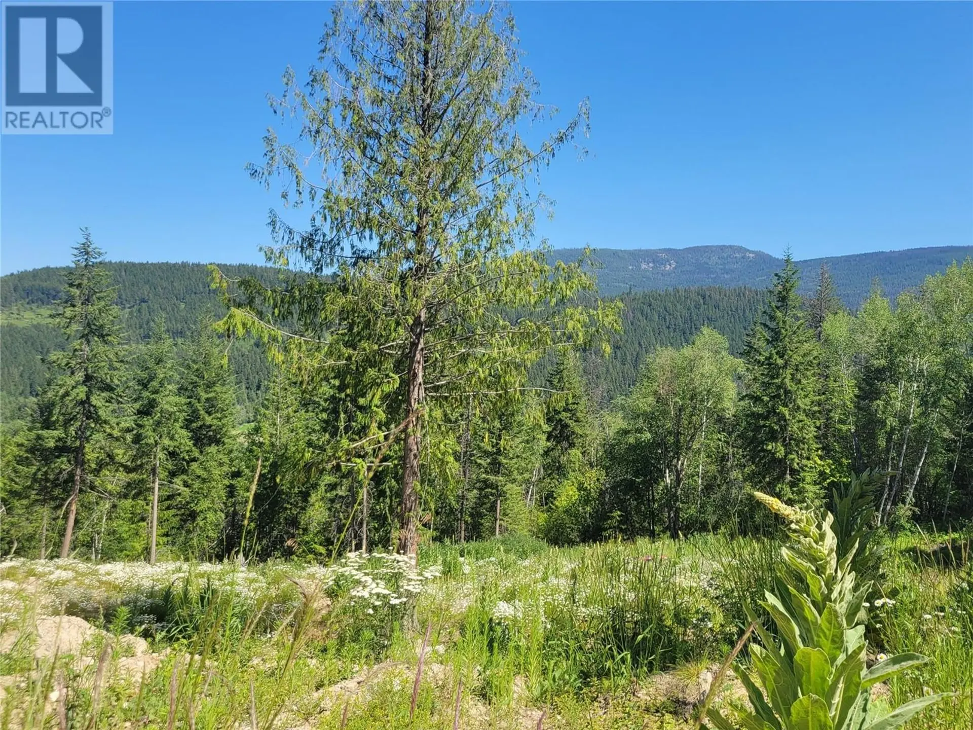 Property at 941 CHASE FALKLAND ROAD, Chase, BC
