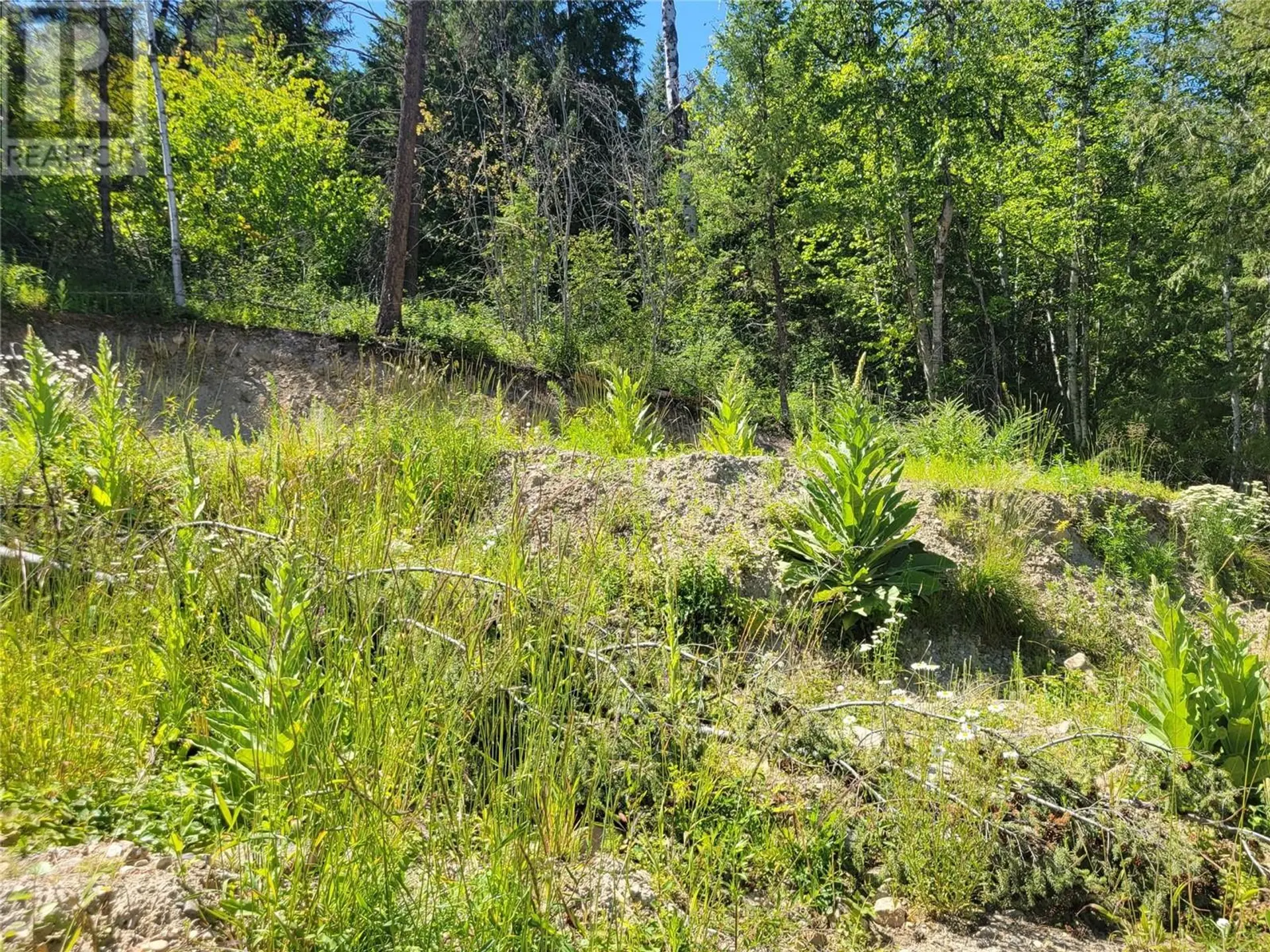 Property at 941 CHASE FALKLAND ROAD, Chase, BC