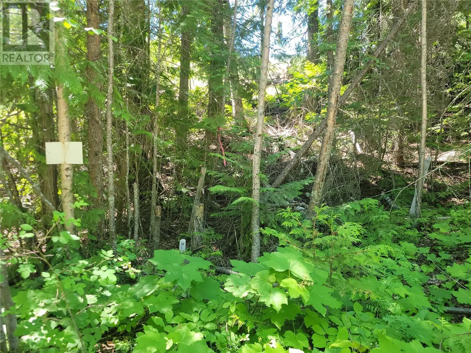 Property at 941 CHASE FALKLAND ROAD, Chase, BC