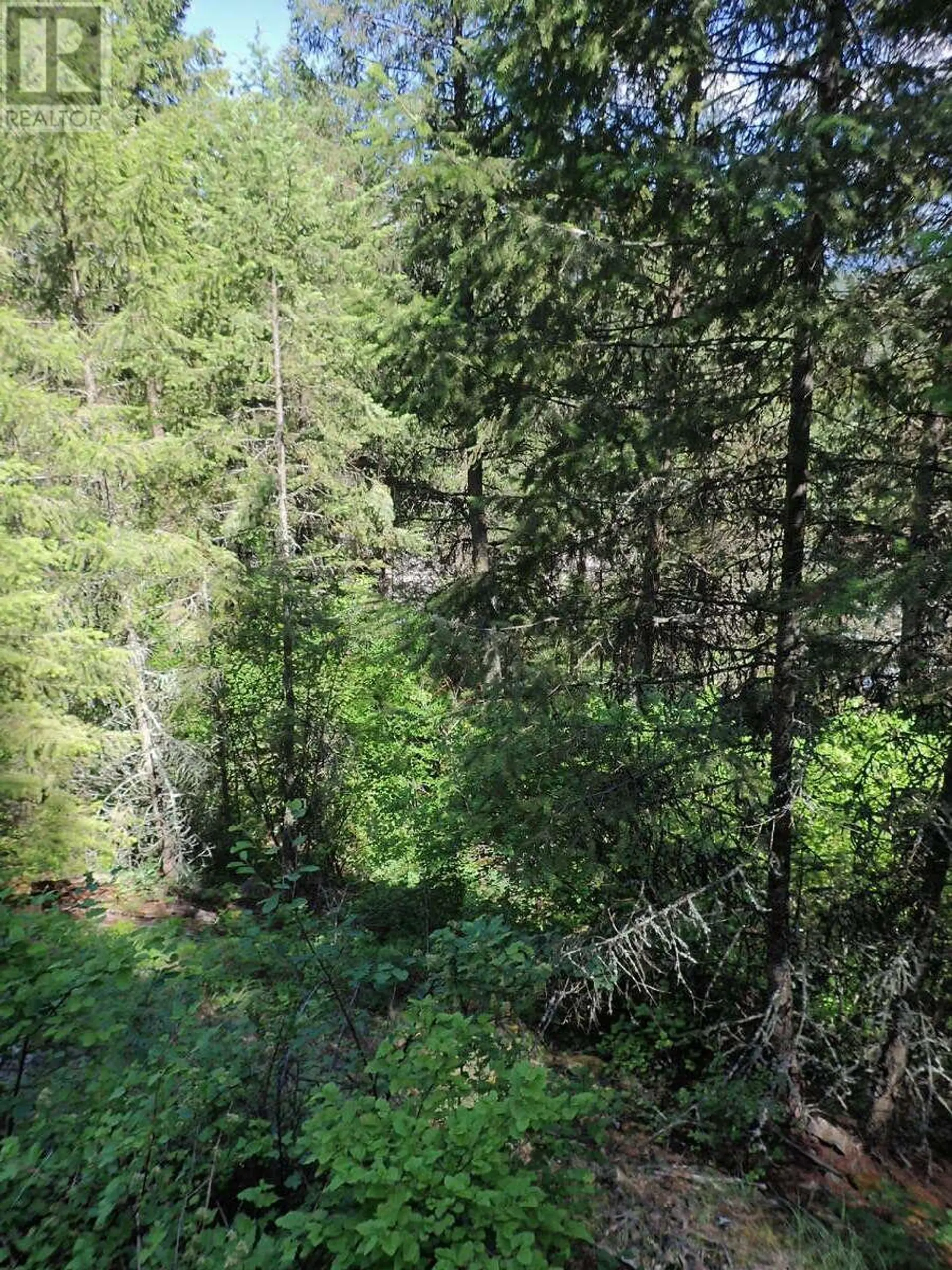Property at LOT 7 EAGLE RIDGE ROAD, Grand Forks, BC
