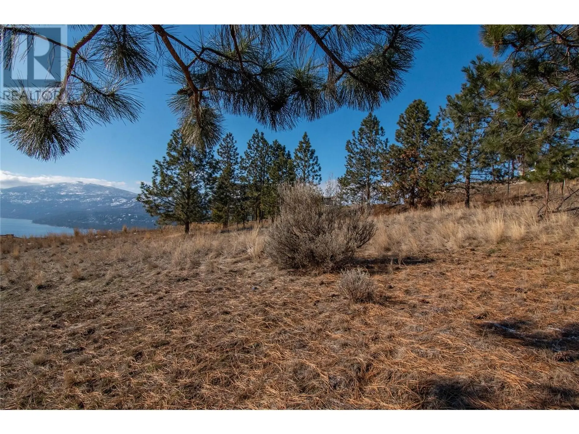 Property at 8836 TAVISTOCK ROAD, Vernon, BC