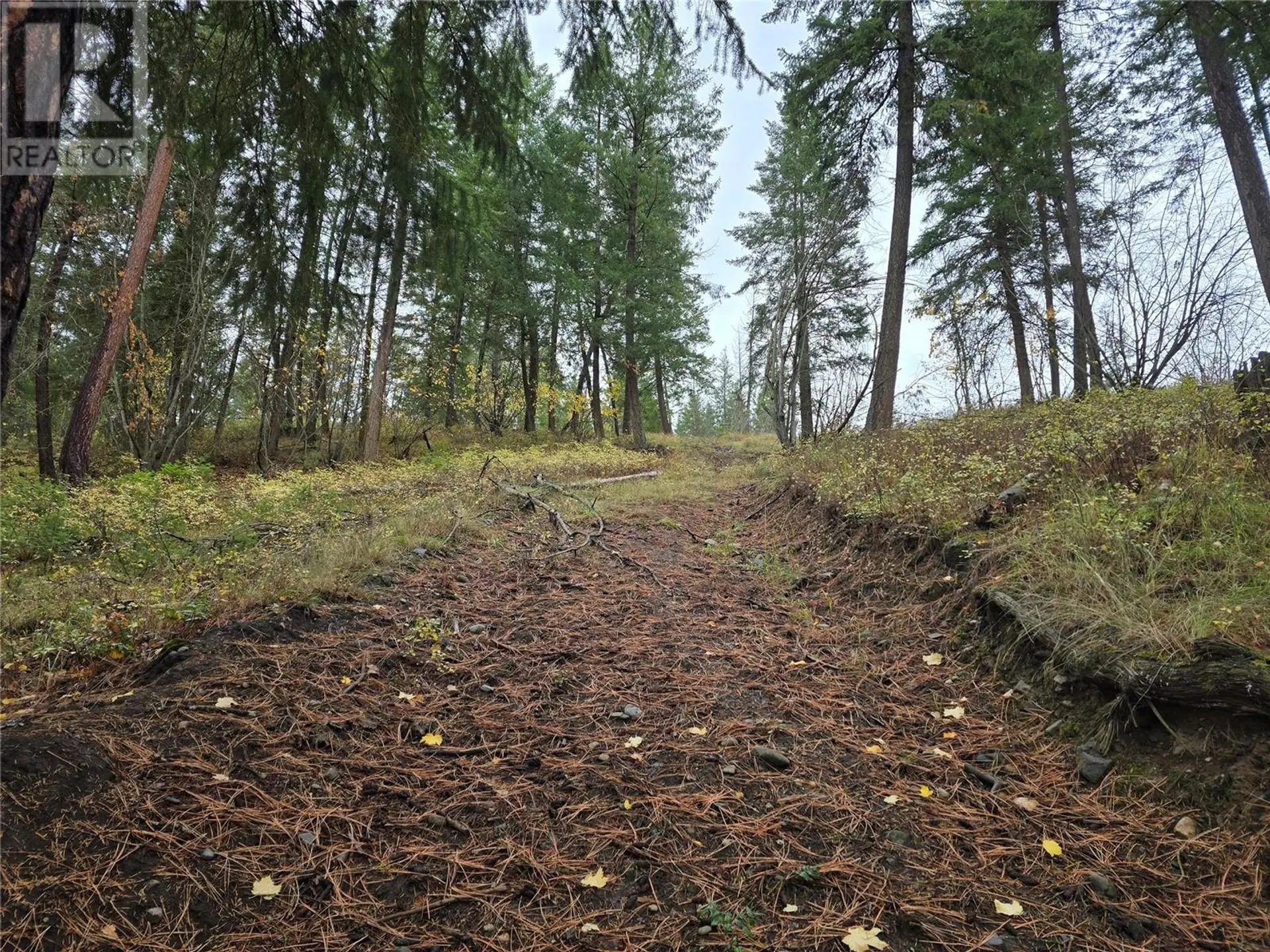 Property at 5135 SALMON RIVER ROAD, Spallumcheen, BC