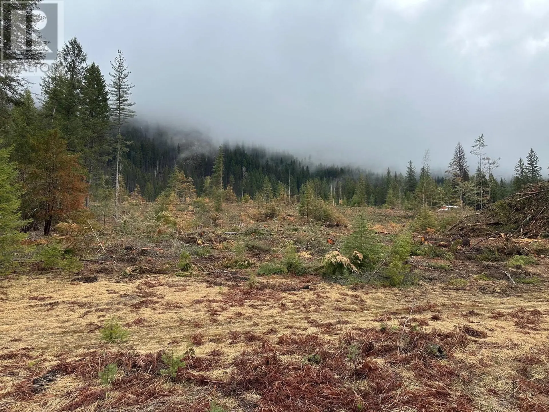 Property at LOT C LANCASTER ROAD, Winlaw, BC