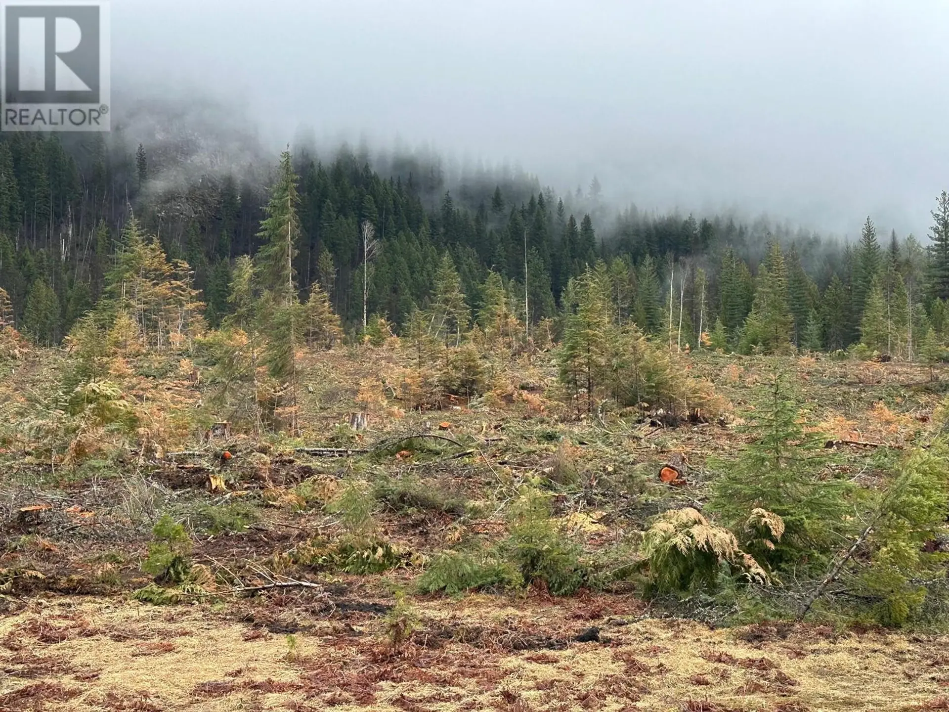 Property at LOT C LANCASTER ROAD, Winlaw, BC