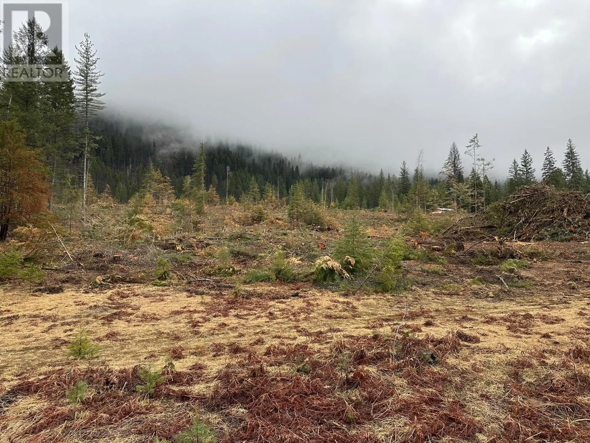Property at LOT C LANCASTER ROAD, Winlaw, BC