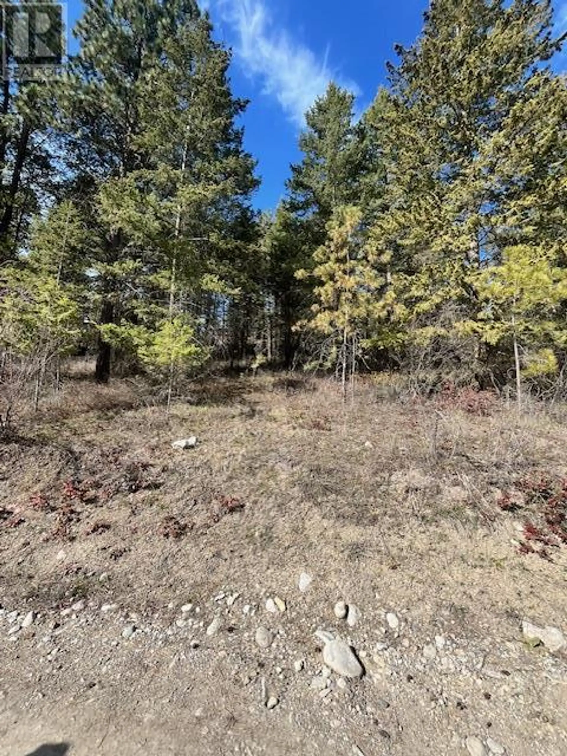 Property at 10451 WESTSHORE ROAD, Vernon, BC