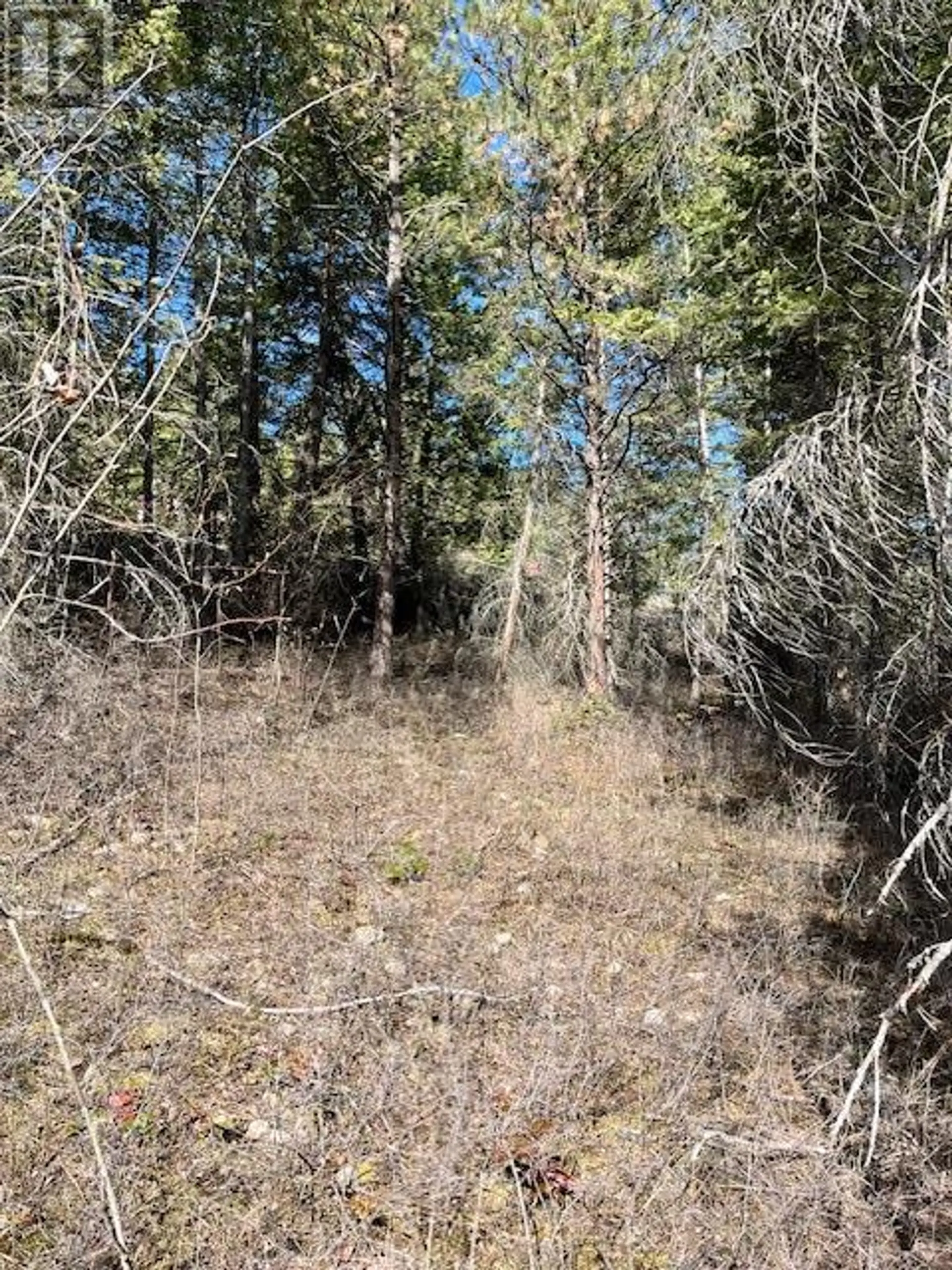 Property at 10451 WESTSHORE ROAD, Vernon, BC