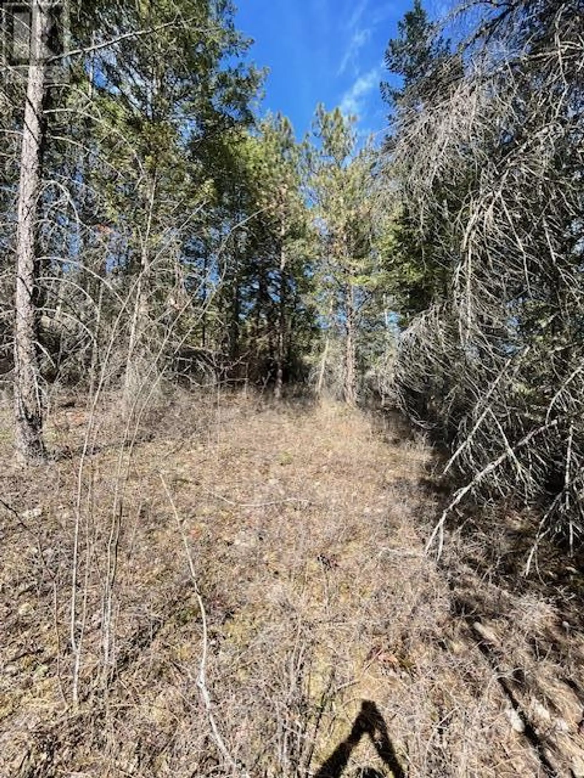 Property at 10451 WESTSHORE ROAD, Vernon, BC