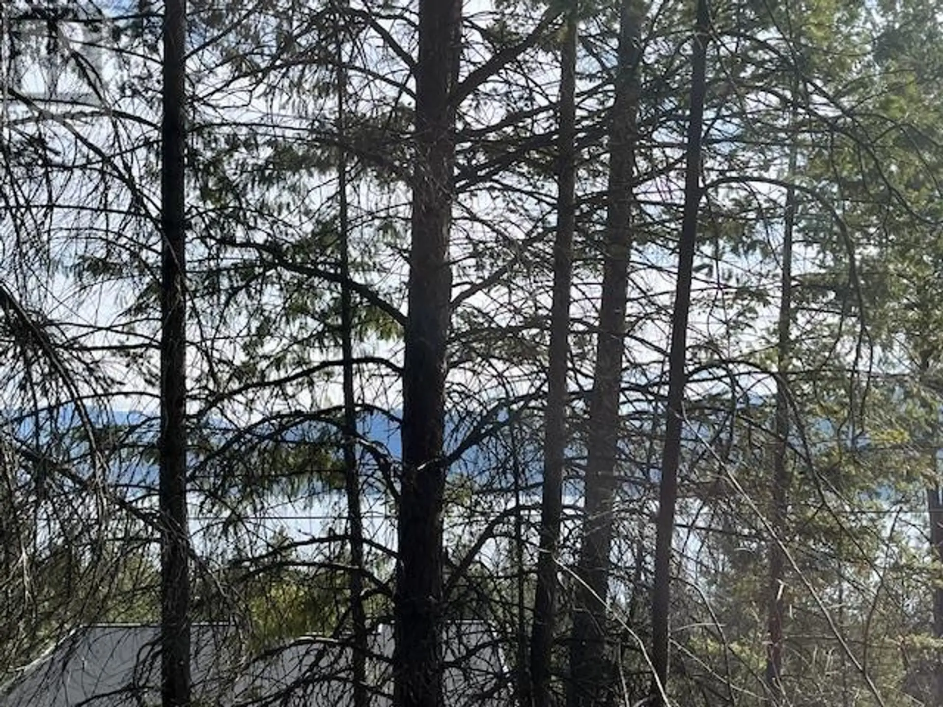 Property at 10451 WESTSHORE ROAD, Vernon, BC