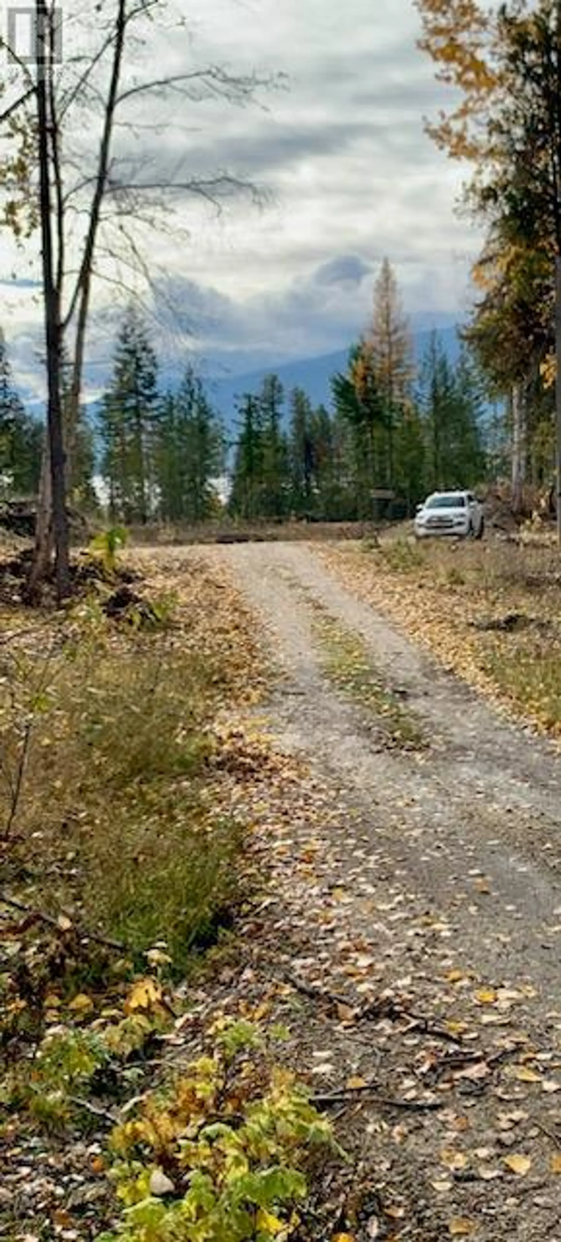 Property at LOT A 23 HIGHWAY, Nakusp, BC