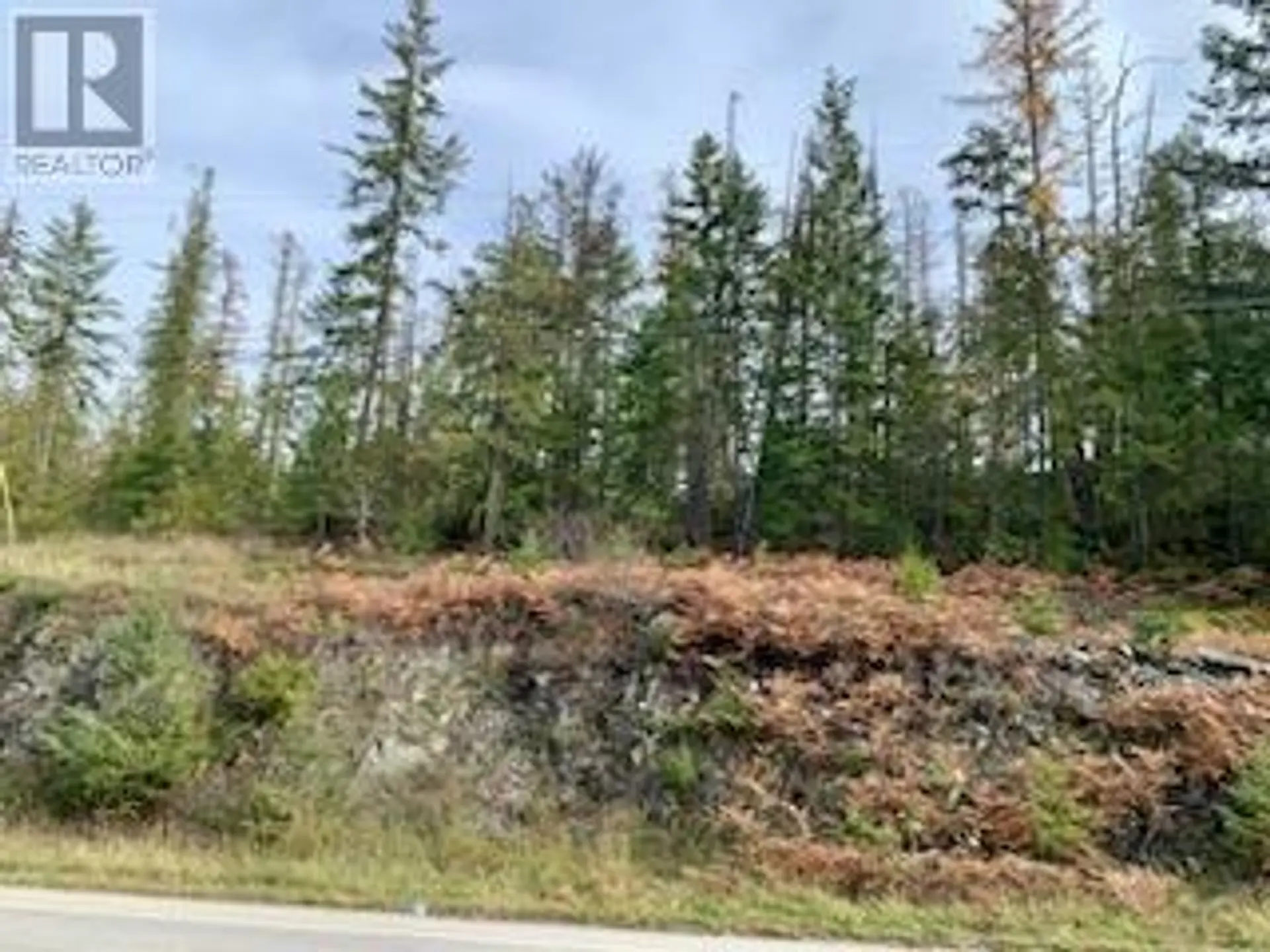 Property at LOT A 23 HIGHWAY, Nakusp, BC