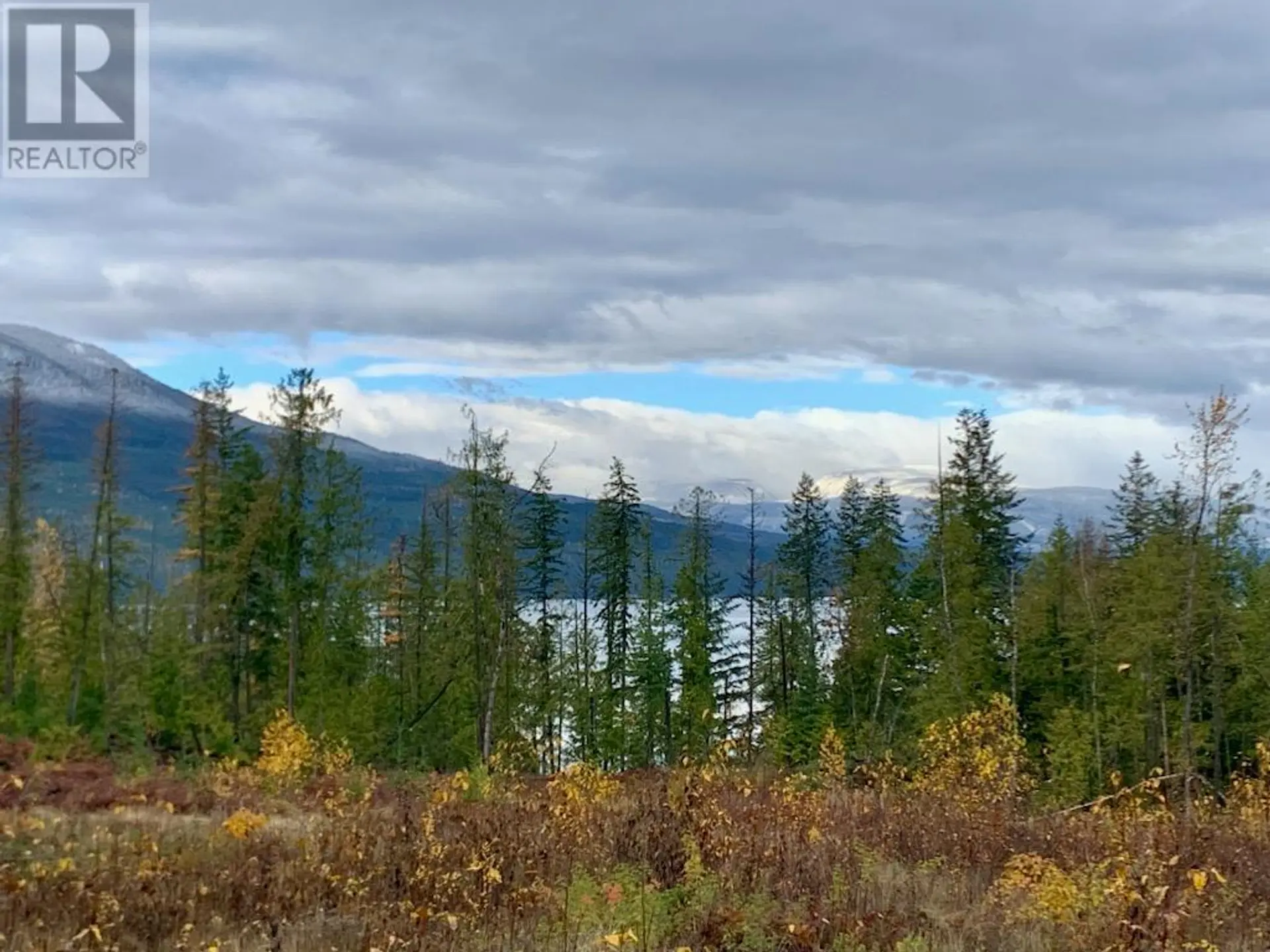 Property at LOT A 23 HIGHWAY, Nakusp, BC