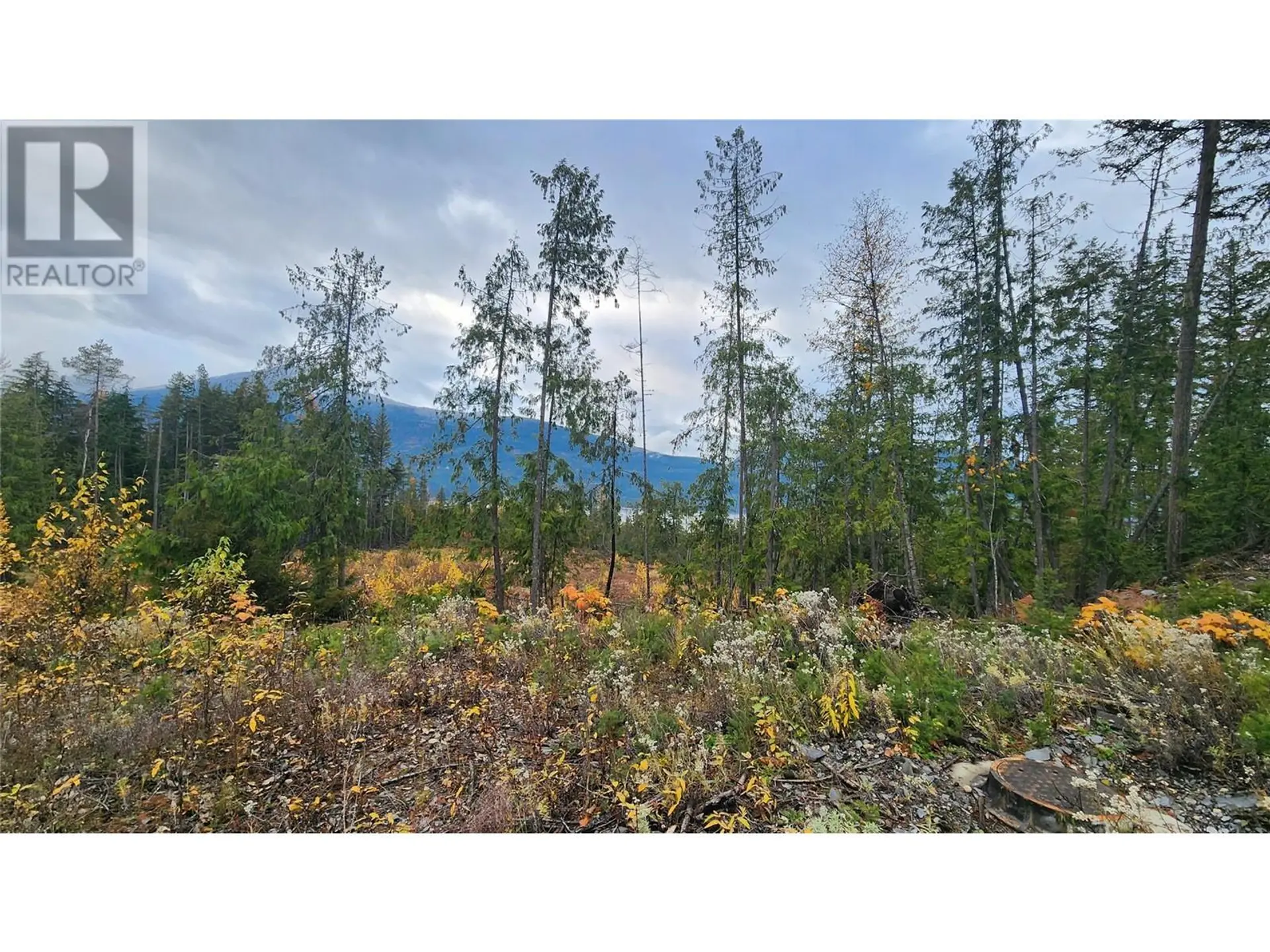 Property at LOT A 23 HIGHWAY, Nakusp, BC