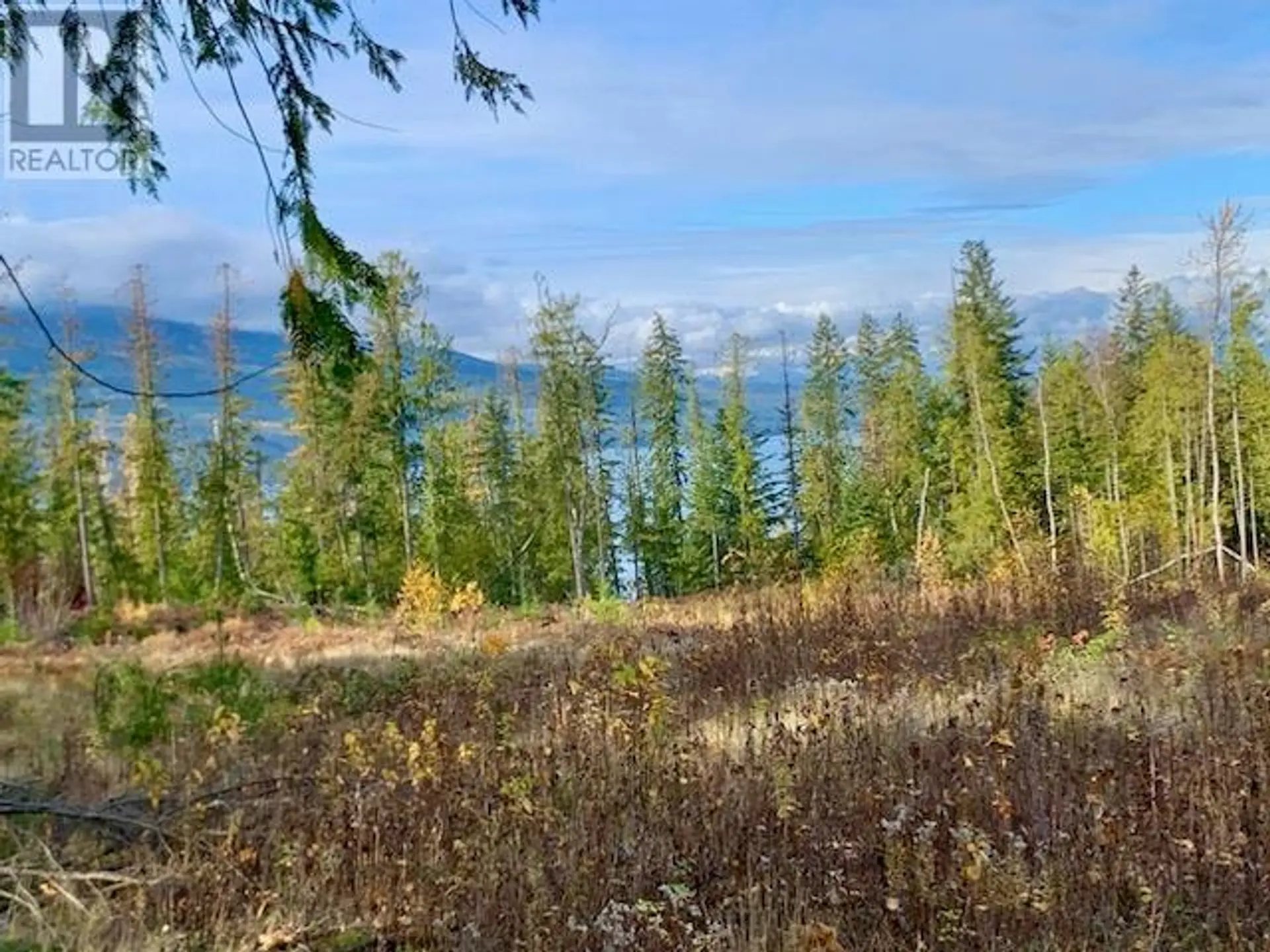 Property at LOT A 23 HIGHWAY, Nakusp, BC