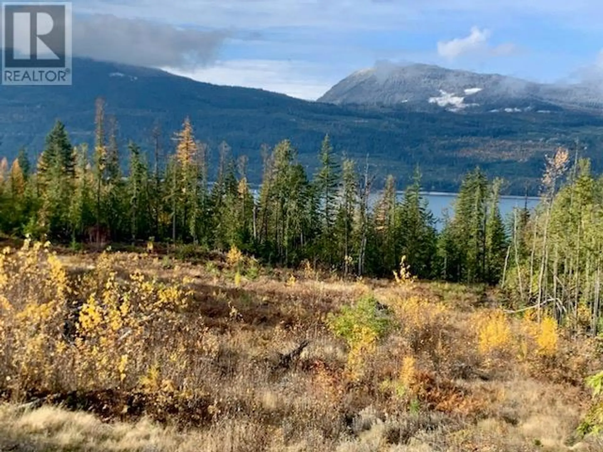 Property at LOT A 23 HIGHWAY, Nakusp, BC