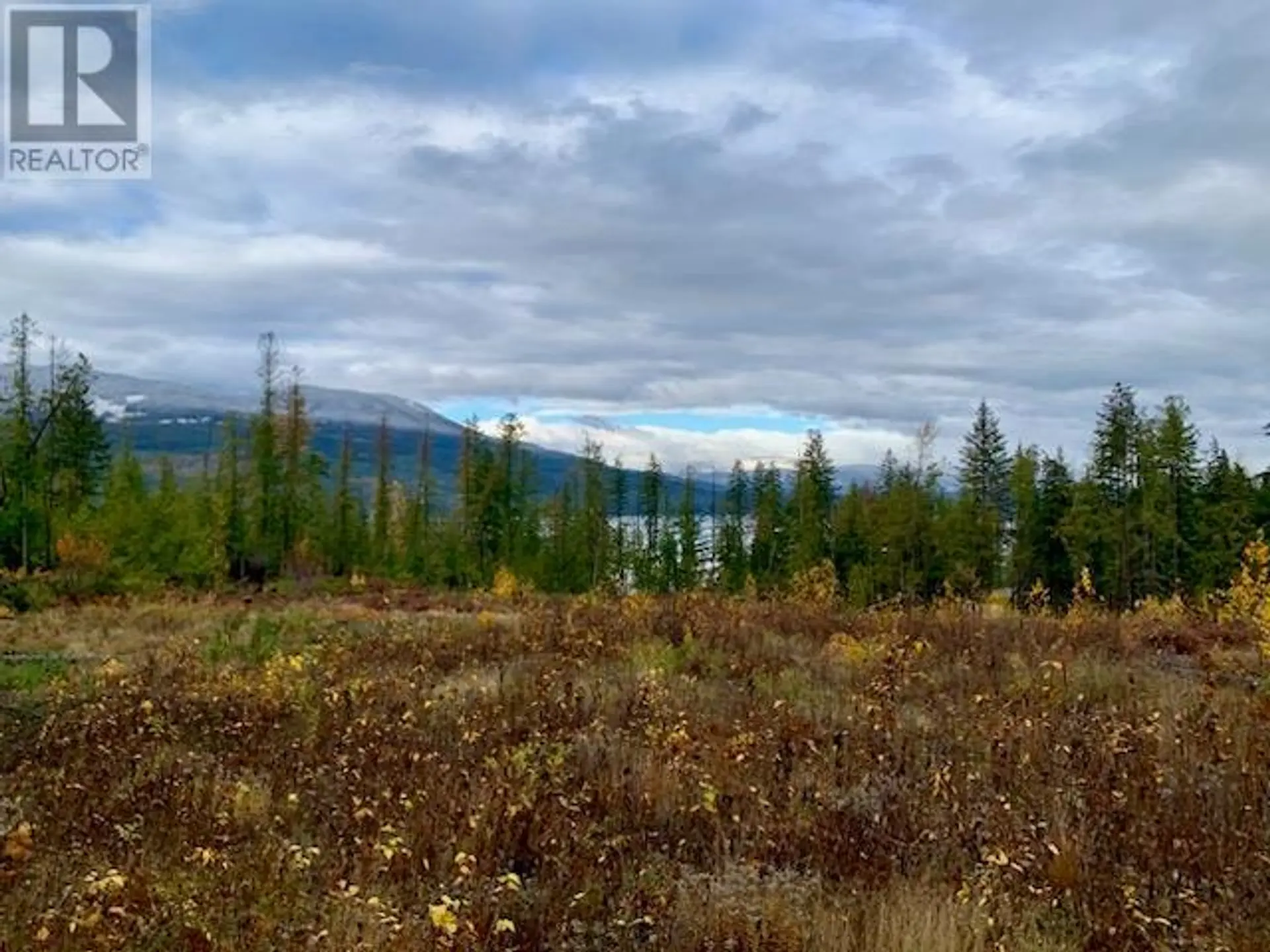Property at LOT A 23 HIGHWAY, Nakusp, BC