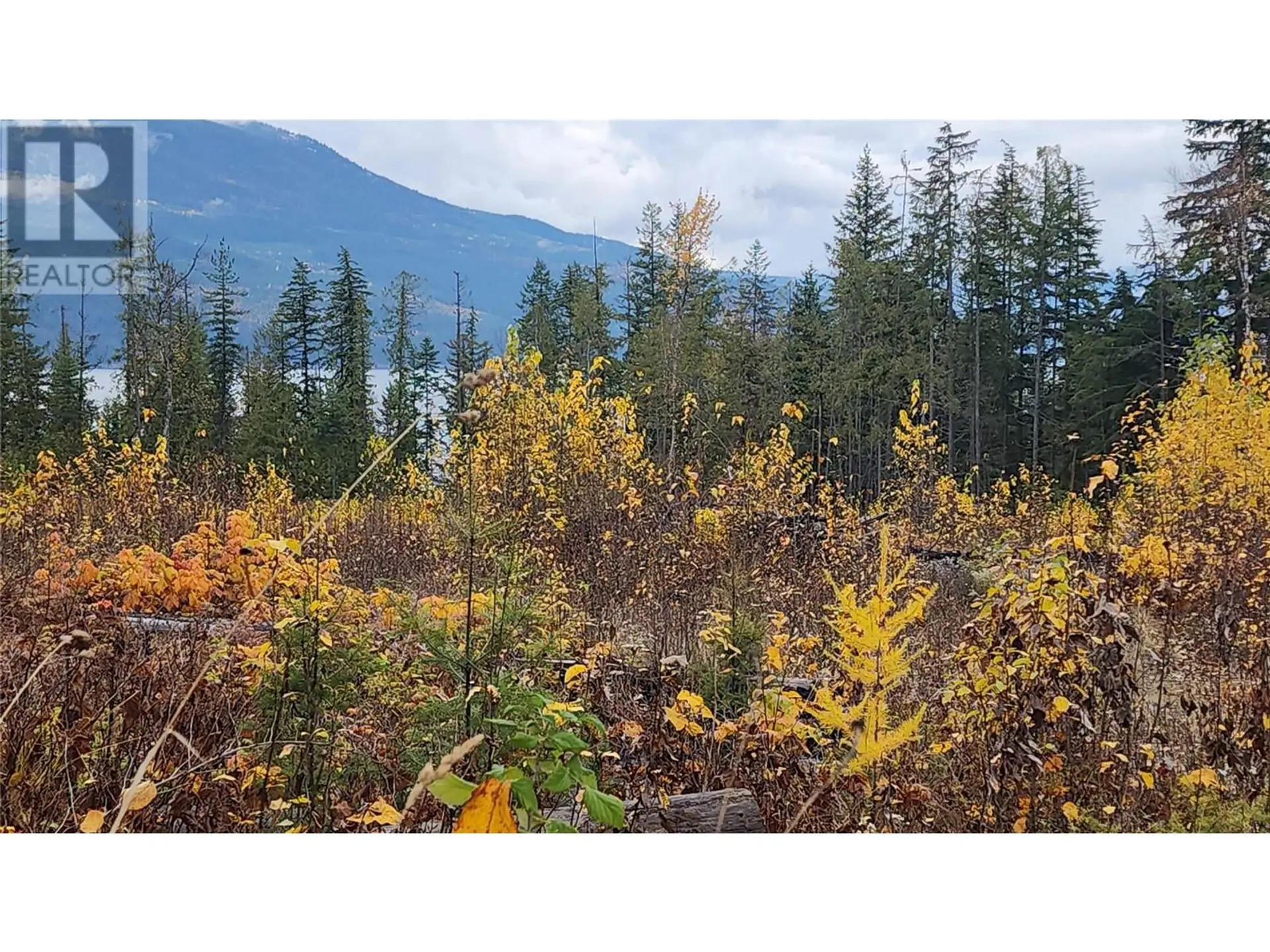 Property at LOT A 23 HIGHWAY, Nakusp, BC