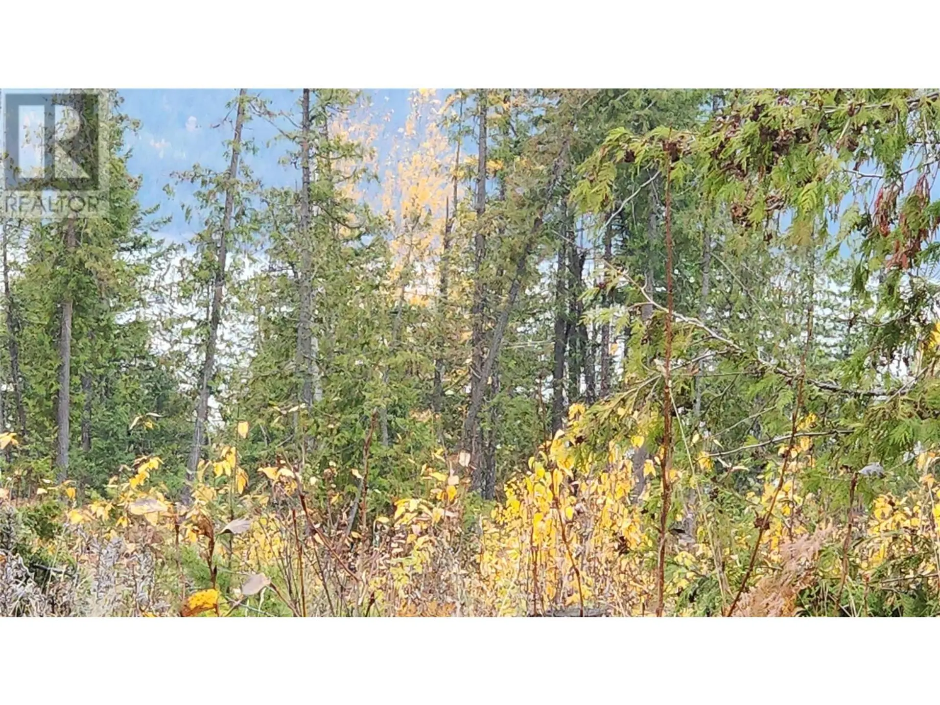 Property at LOT A 23 HIGHWAY, Nakusp, BC