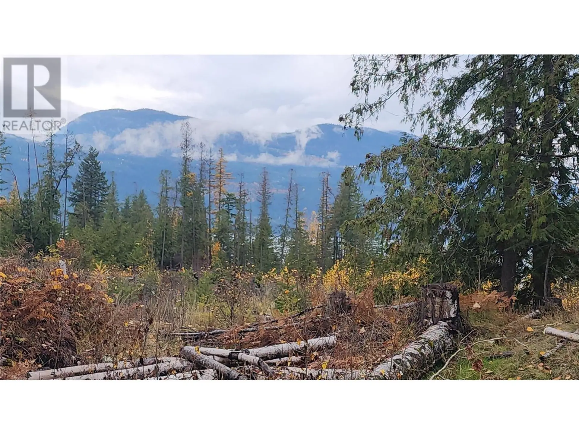 Property at LOT A 23 HIGHWAY, Nakusp, BC