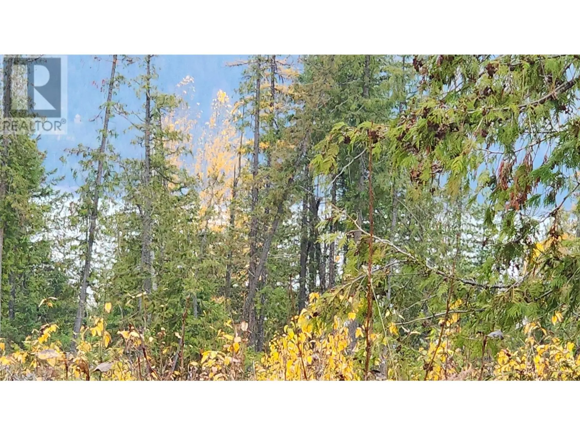 Property at LOT A 23 HIGHWAY, Nakusp, BC