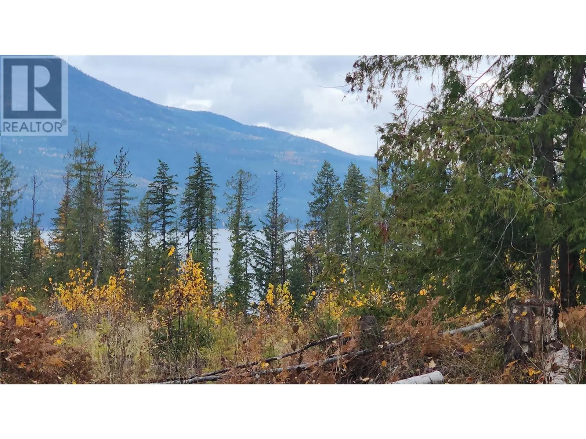 Property at LOT A 23 HIGHWAY, Nakusp, BC