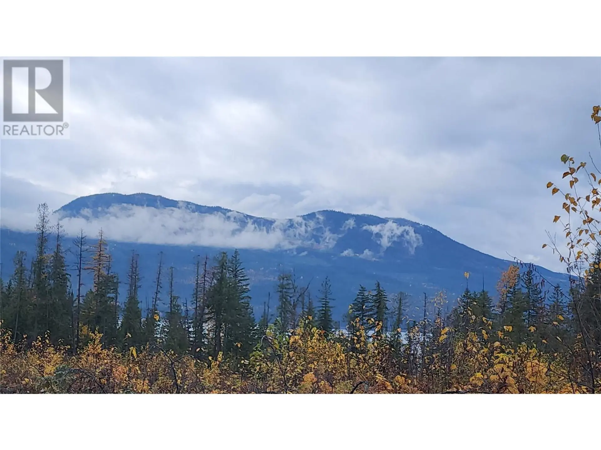 Property at LOT A 23 HIGHWAY, Nakusp, BC