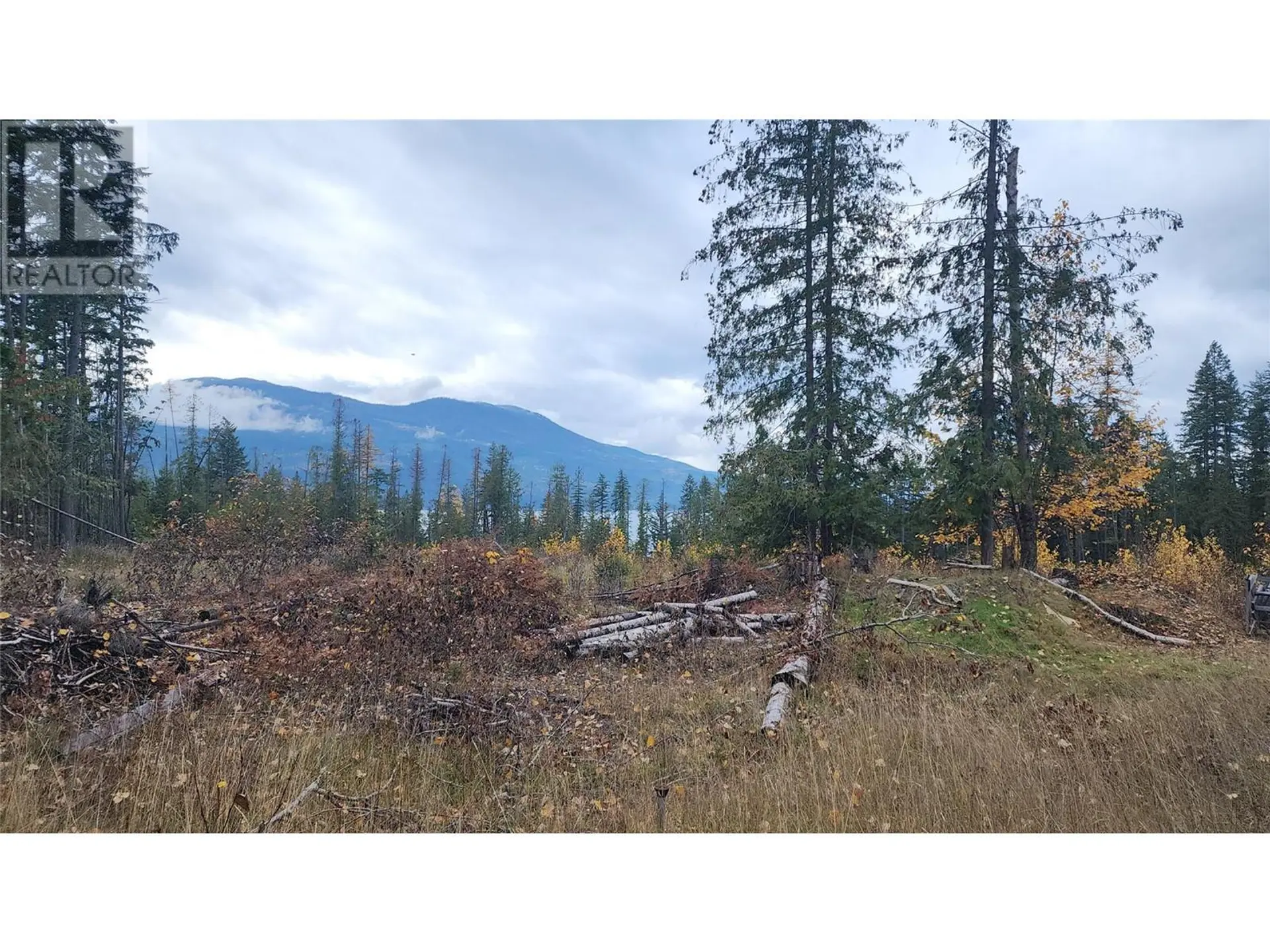 Property at LOT A 23 HIGHWAY, Nakusp, BC