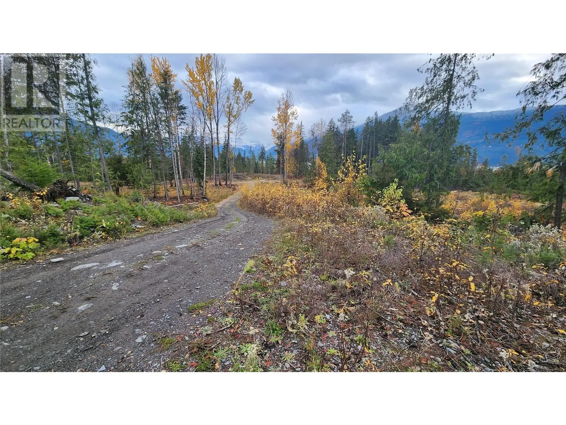 Property at LOT A 23 HIGHWAY, Nakusp, BC