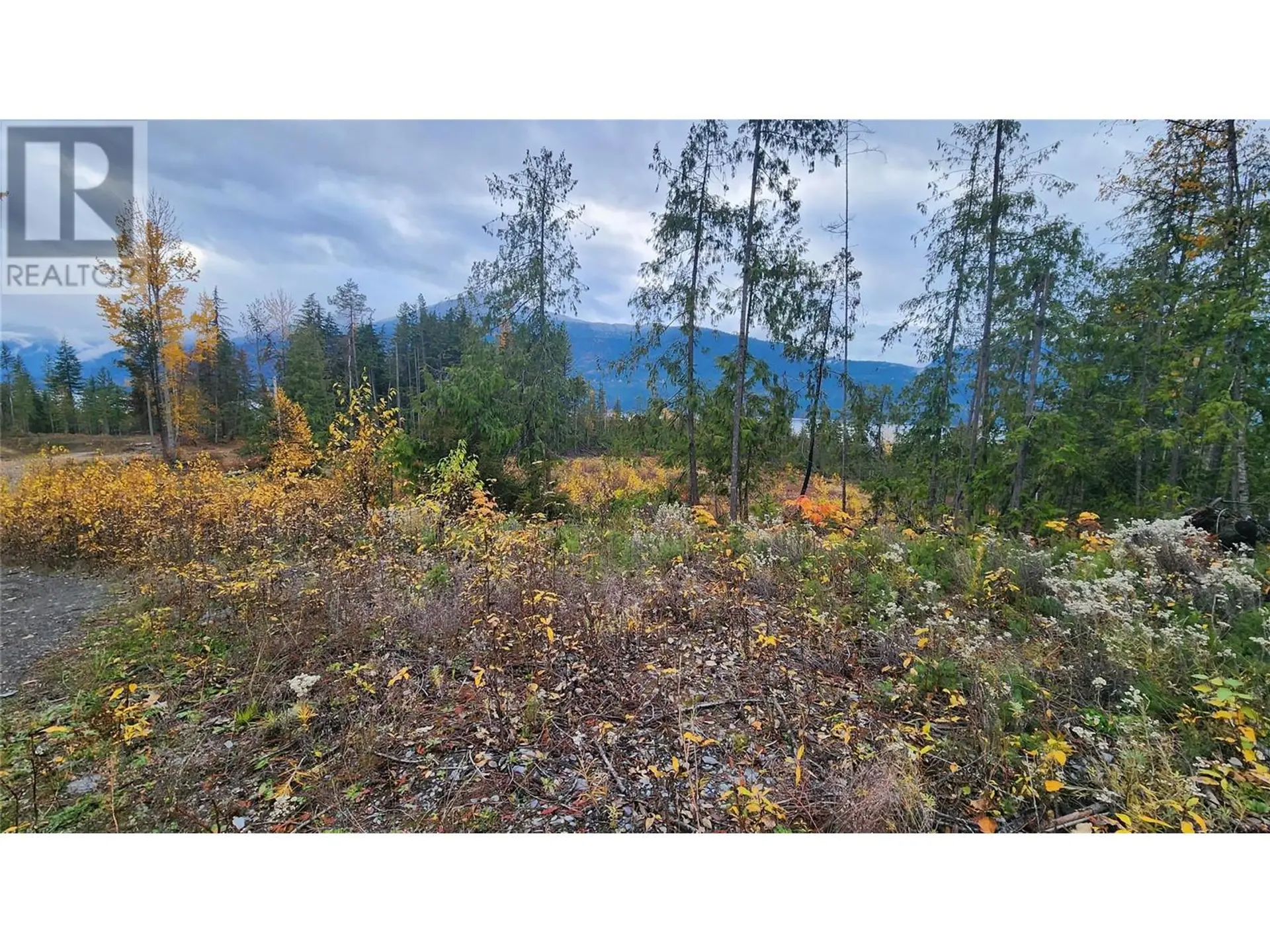Property at LOT A 23 HIGHWAY, Nakusp, BC