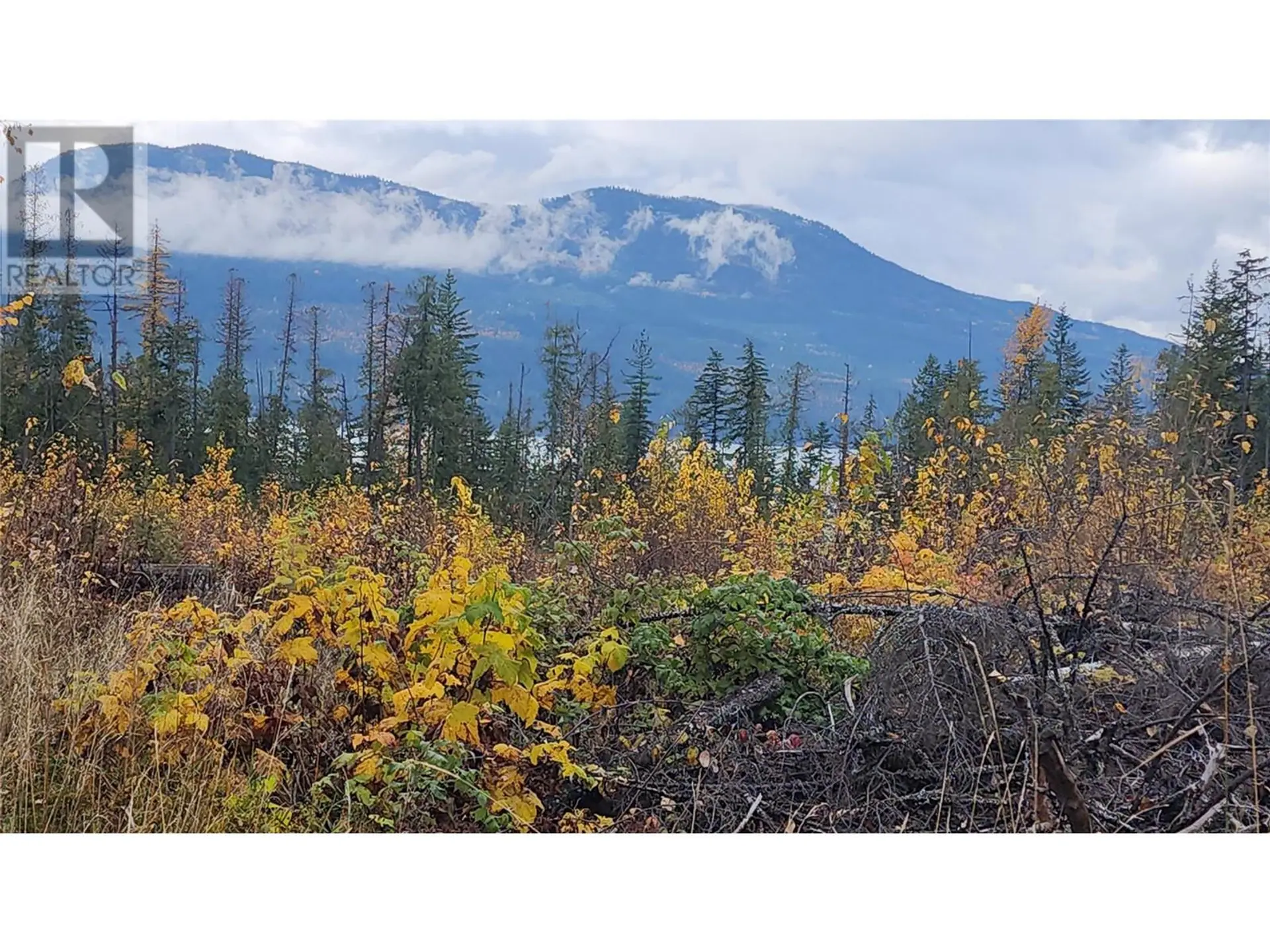 Property at LOT A 23 HIGHWAY, Nakusp, BC