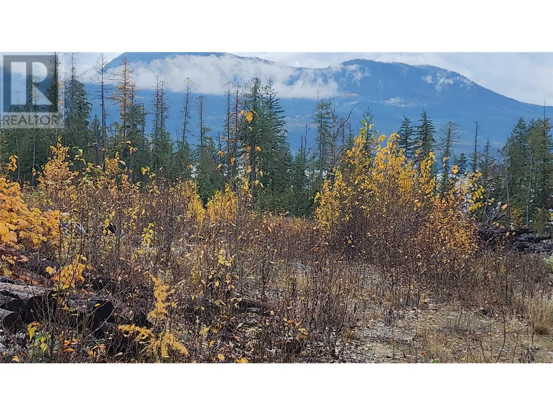 Property at LOT A 23 HIGHWAY, Nakusp, BC